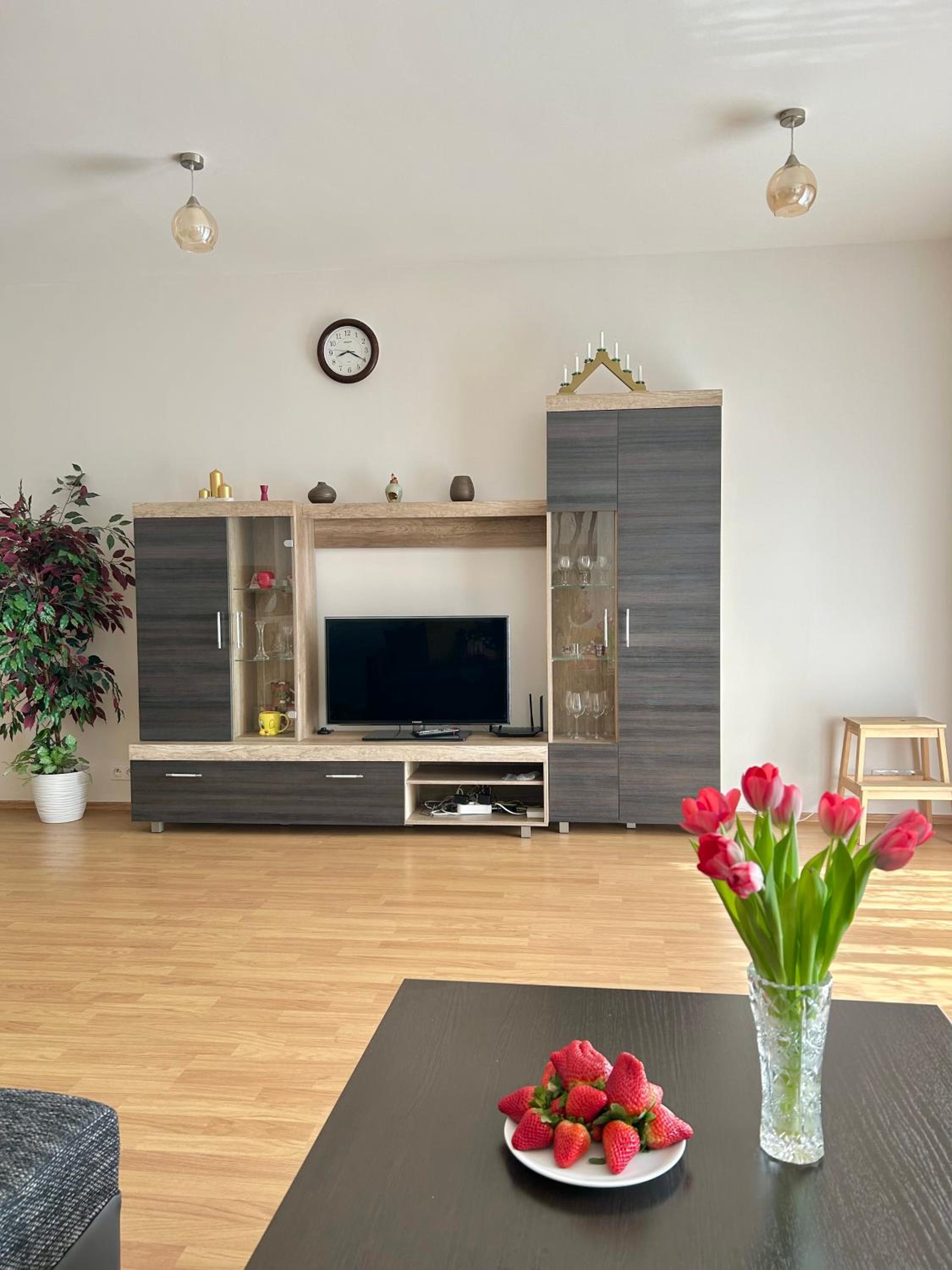 Apartmán v srdci Poděbrad 100m2