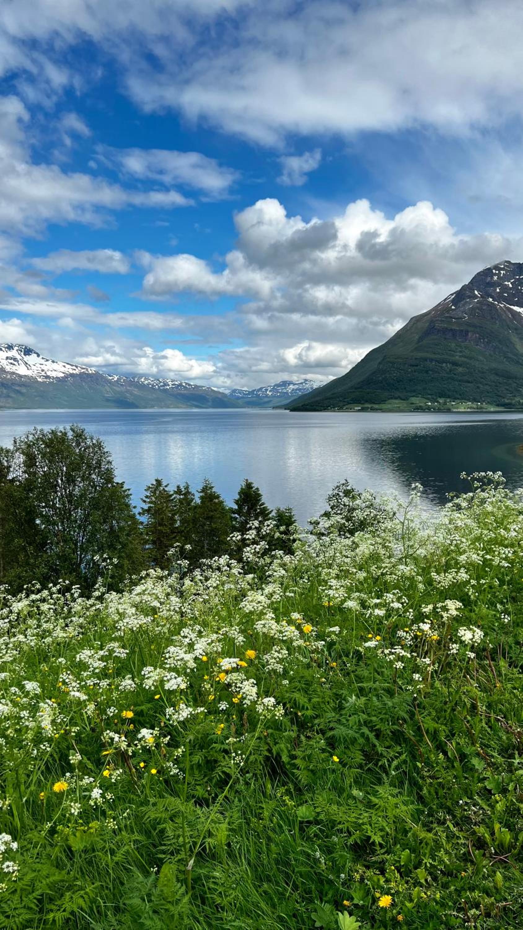 Arctic Dream view 4