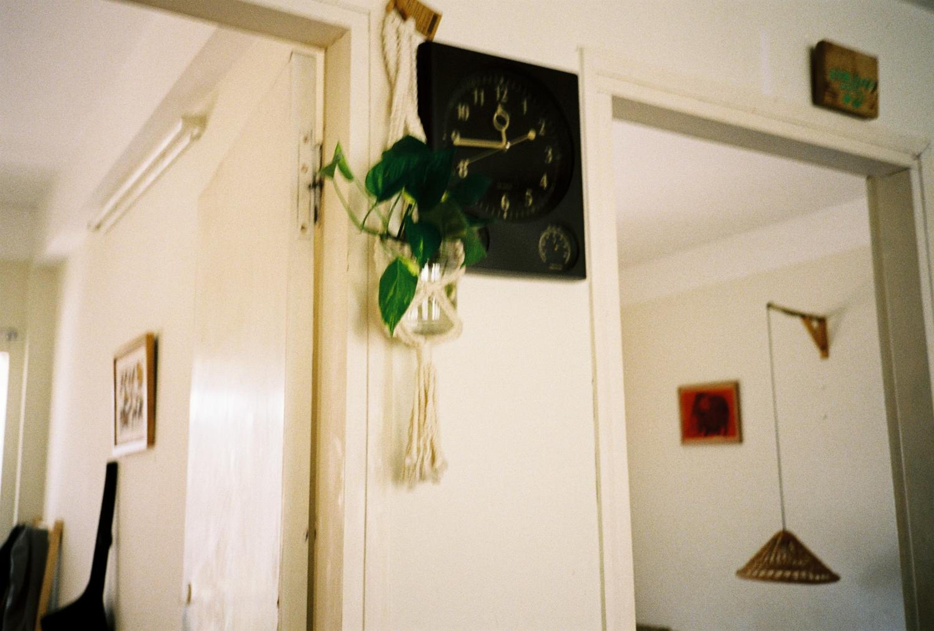 Photo 38