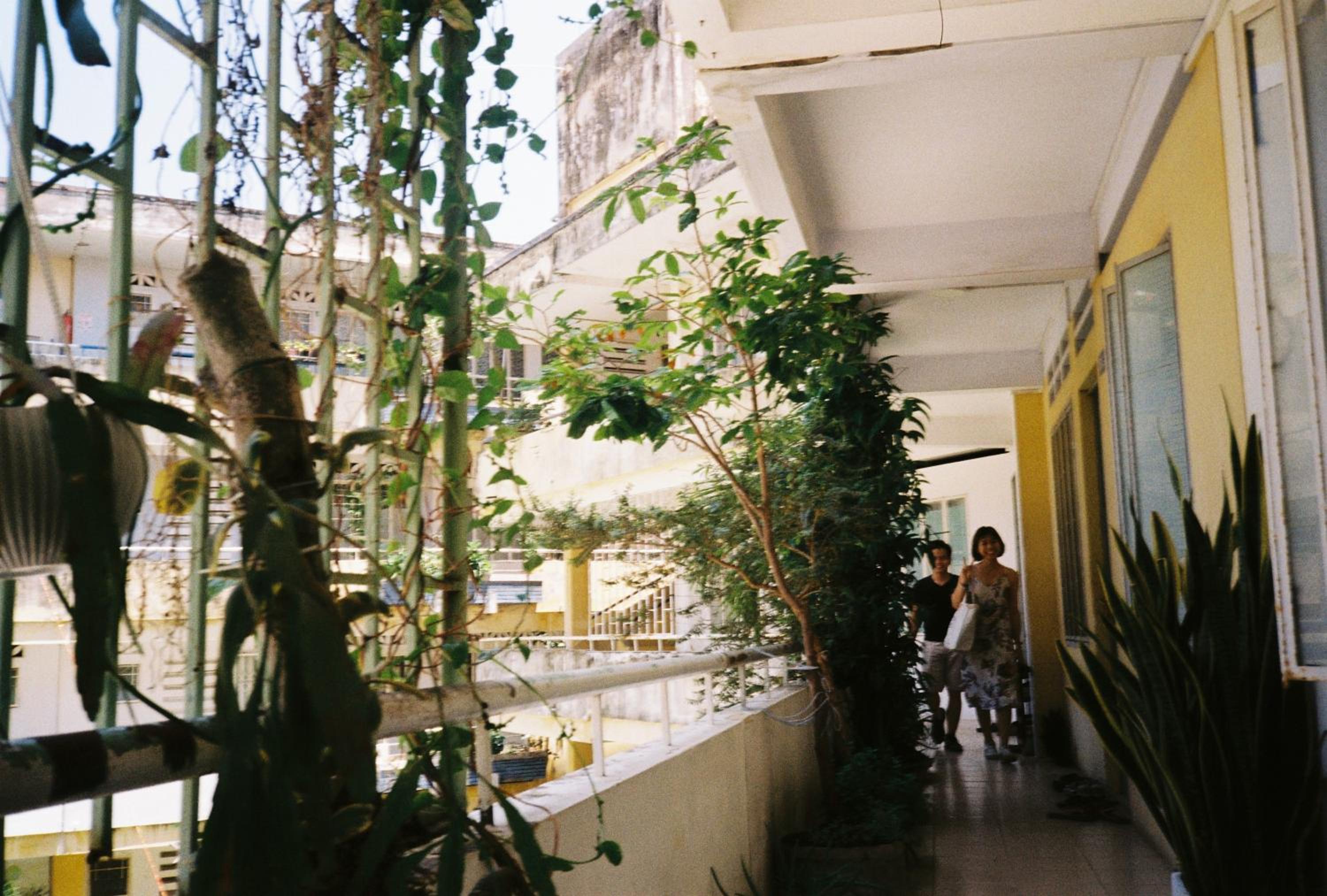 Photo 41