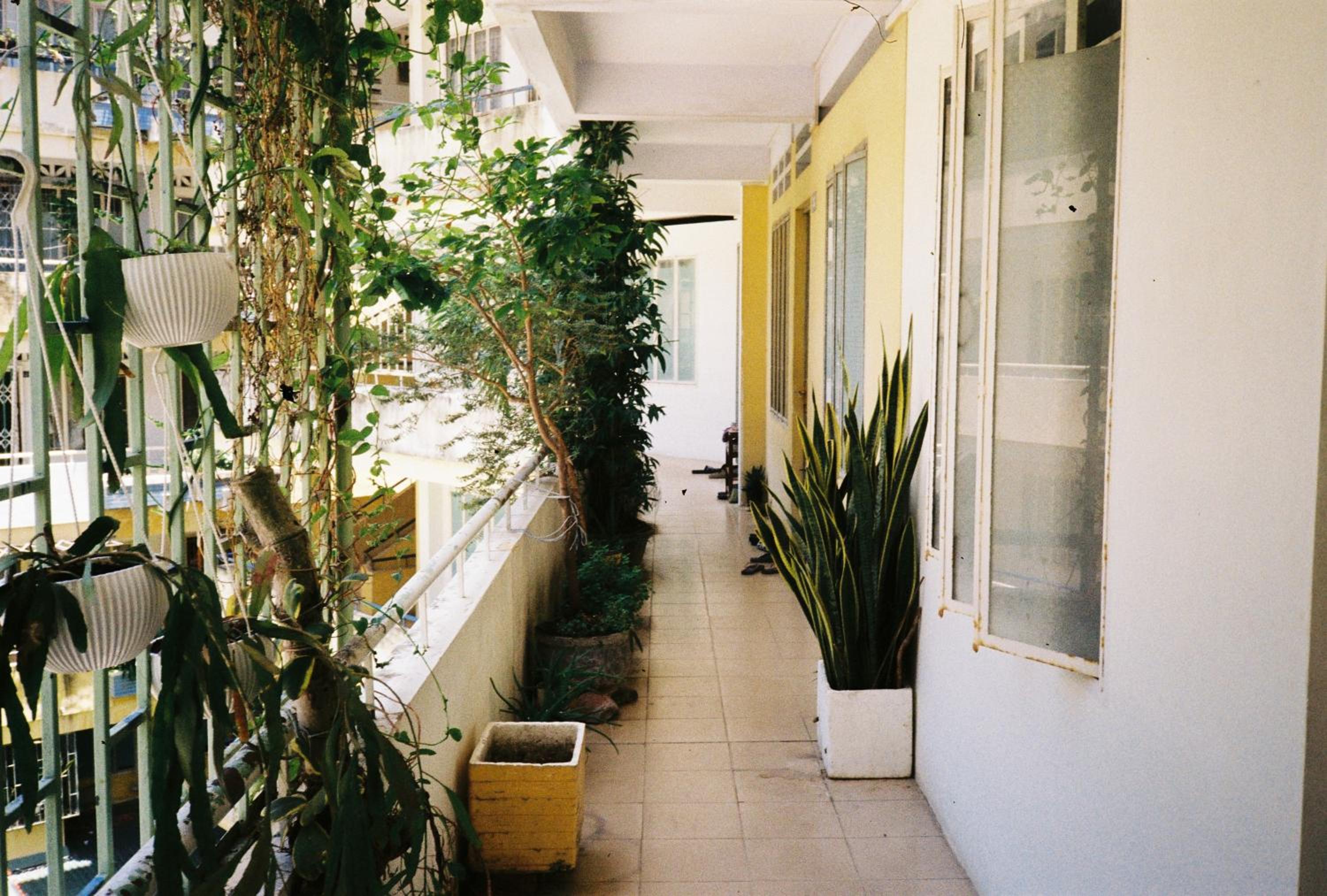 Photo 44