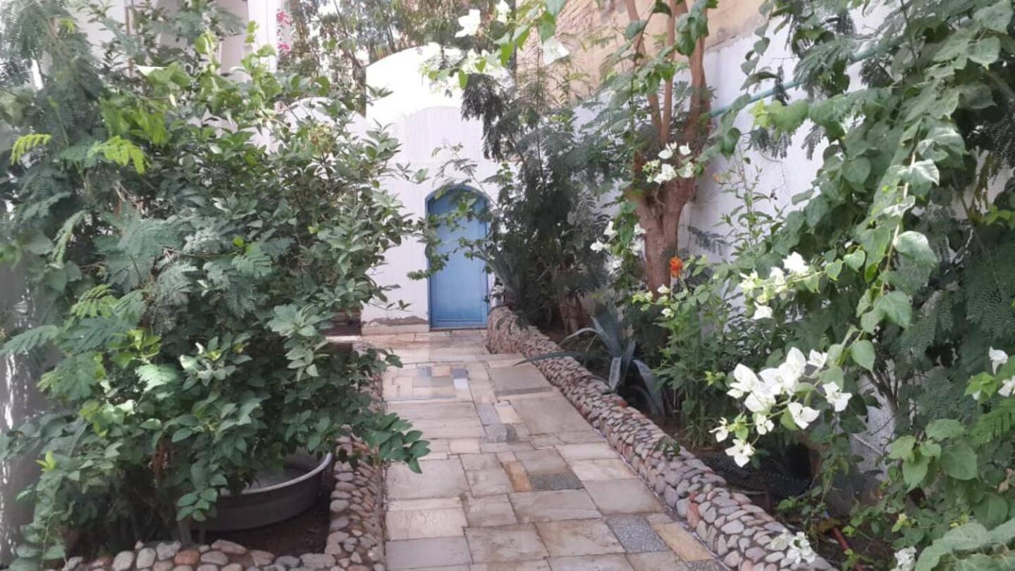 The Green House