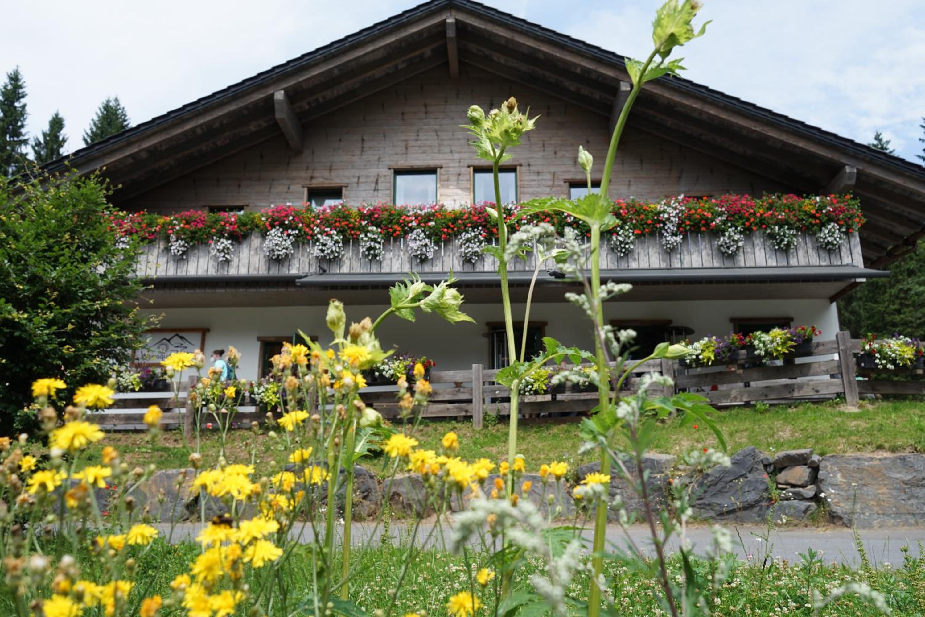Ferienwohnung Werraquell Hütte