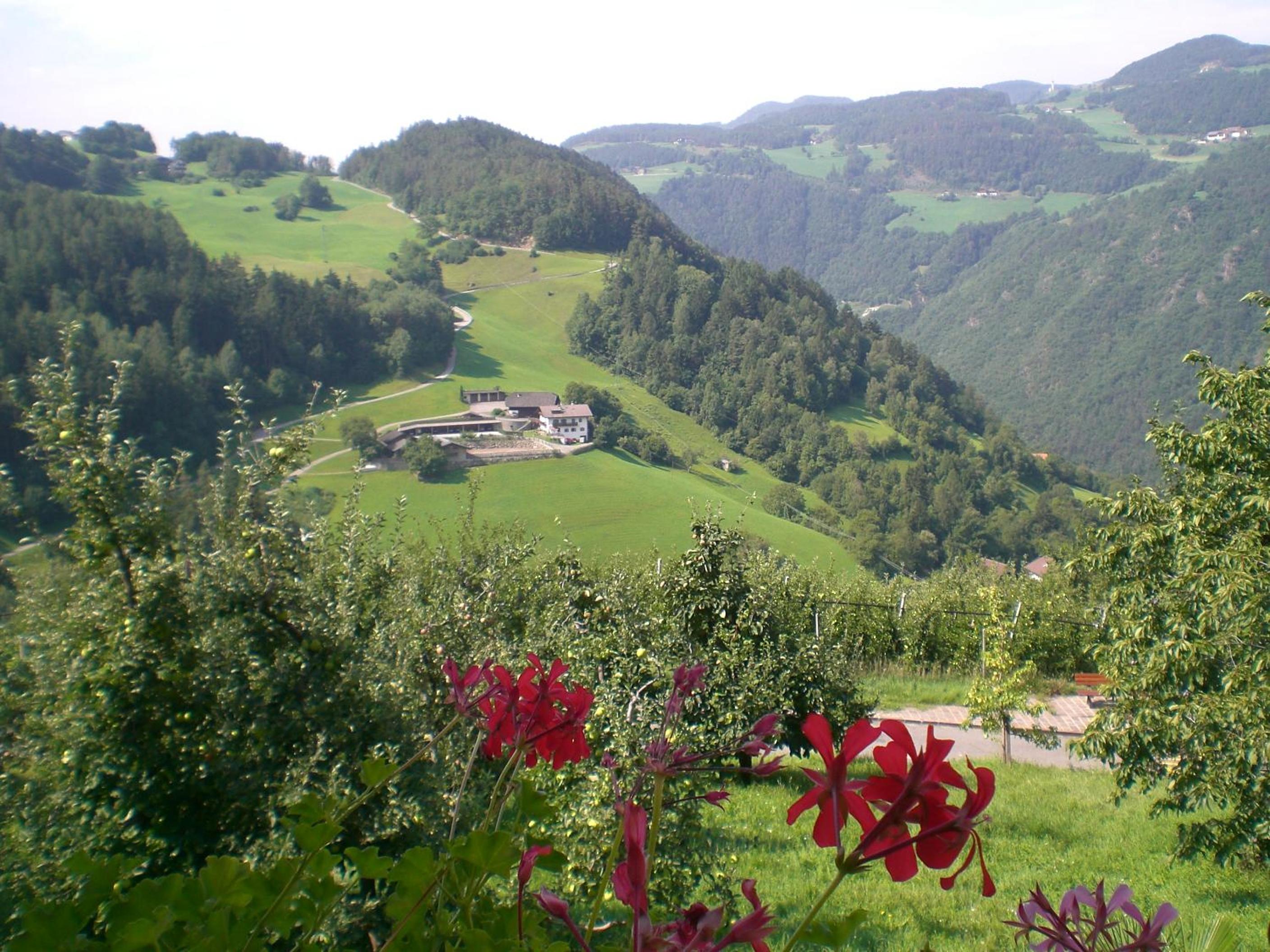 Schiedhof view 2