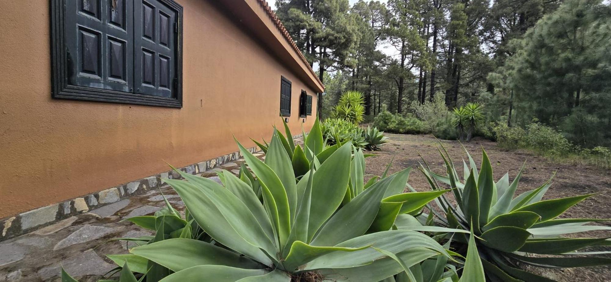 Vivienda Vacacional Alameda El Paso