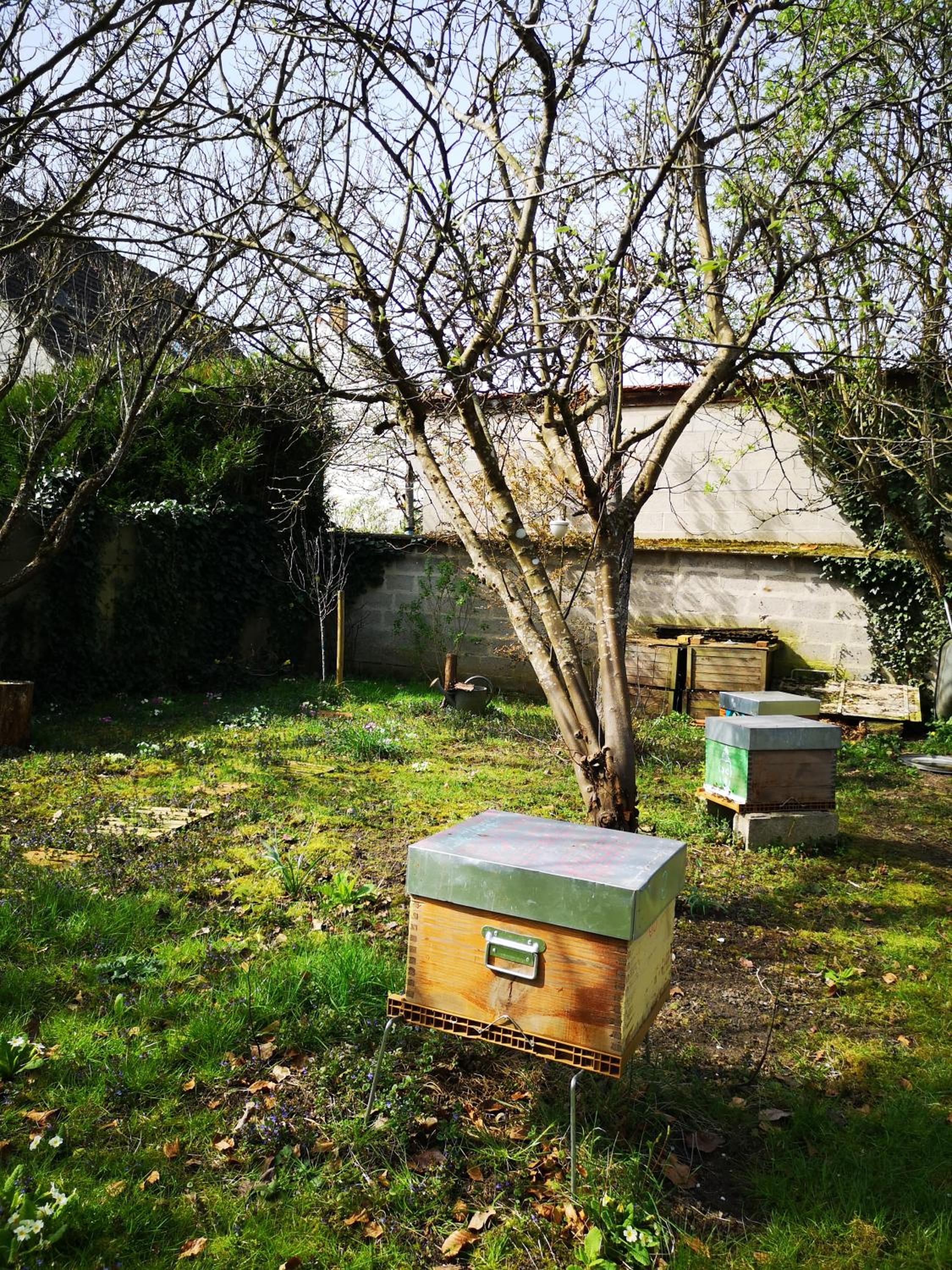 Villa le Cloky, photo 6
