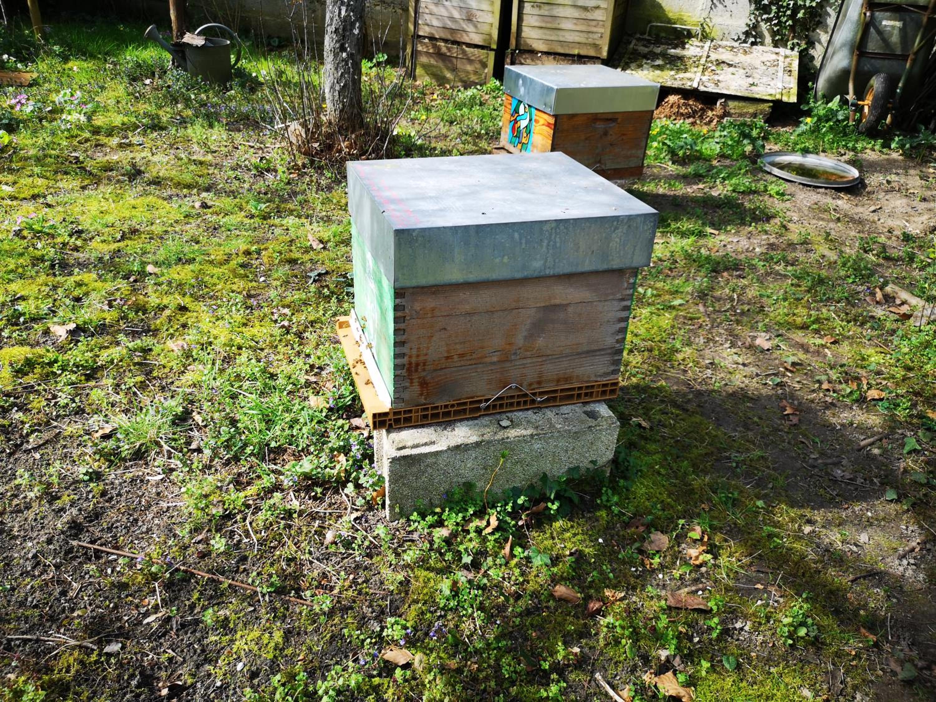 Villa le Cloky, photo 52
