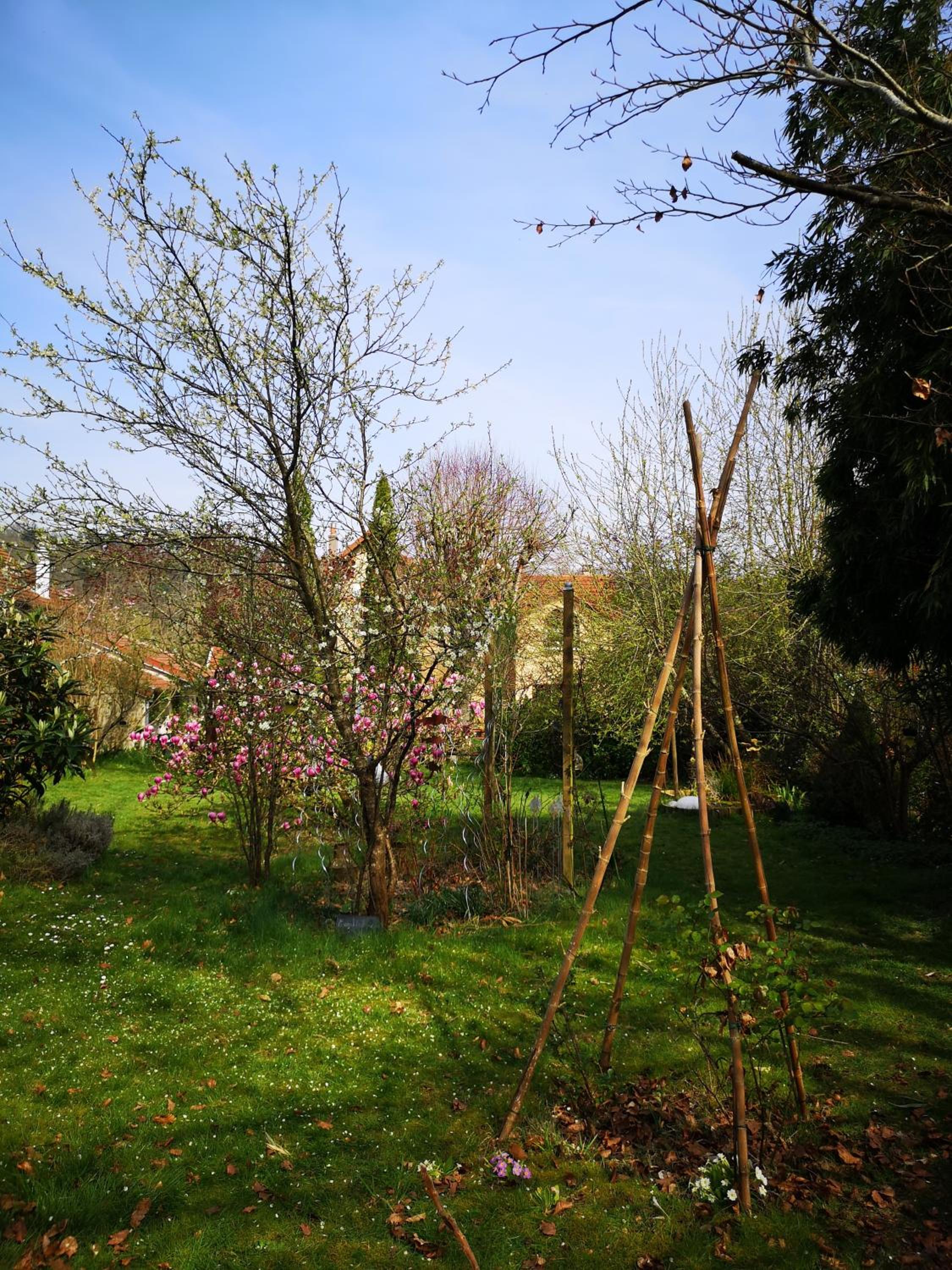Villa le Cloky, photo 16