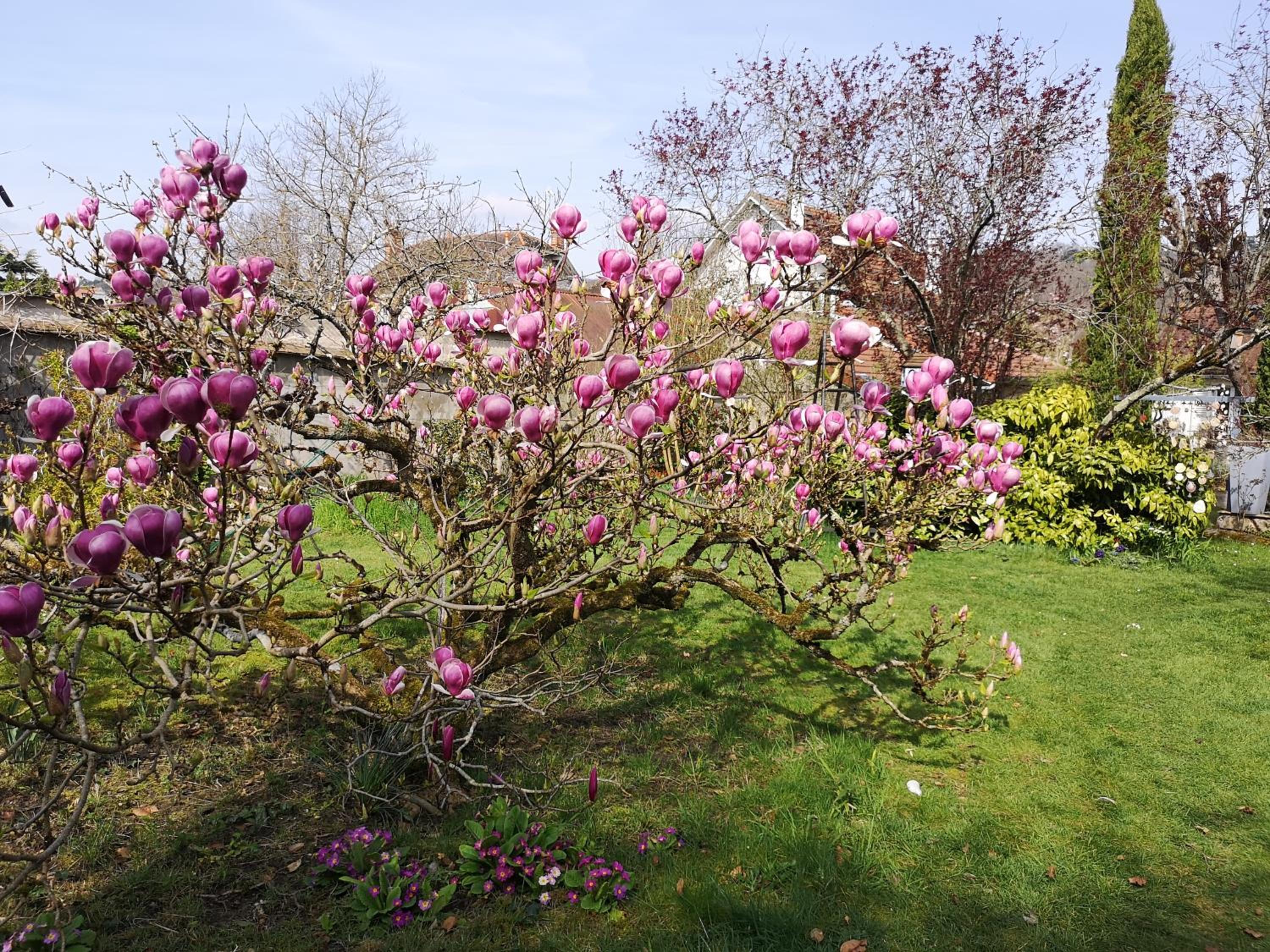 Villa le Cloky, photo 13