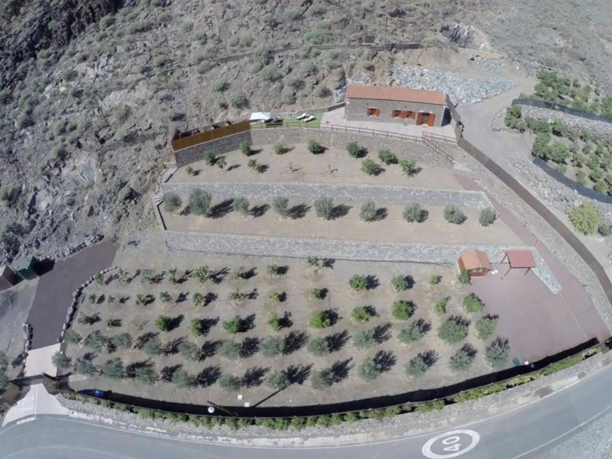 Paisajes Rurales y Piscina Privada
