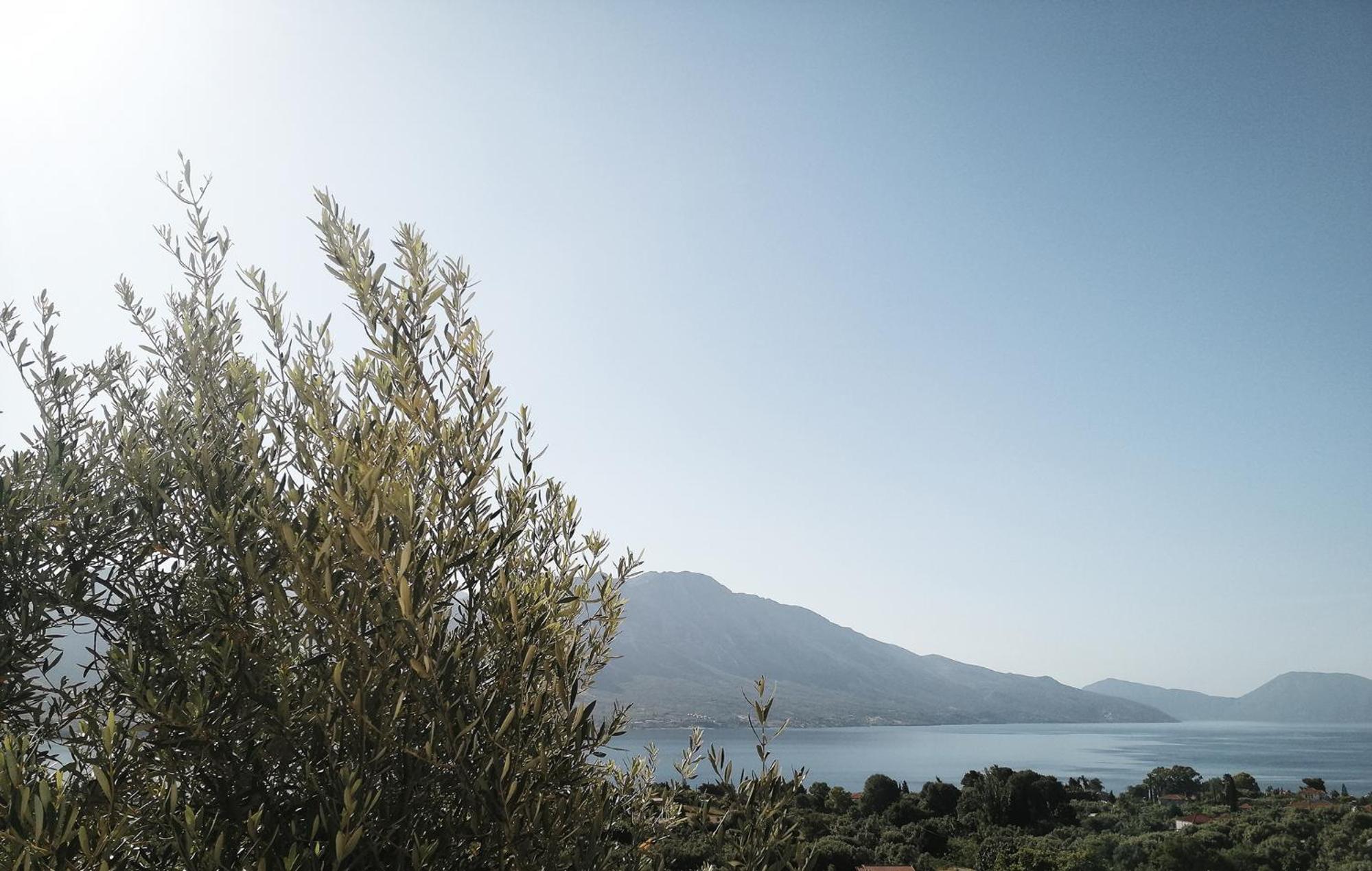 Villa Iris