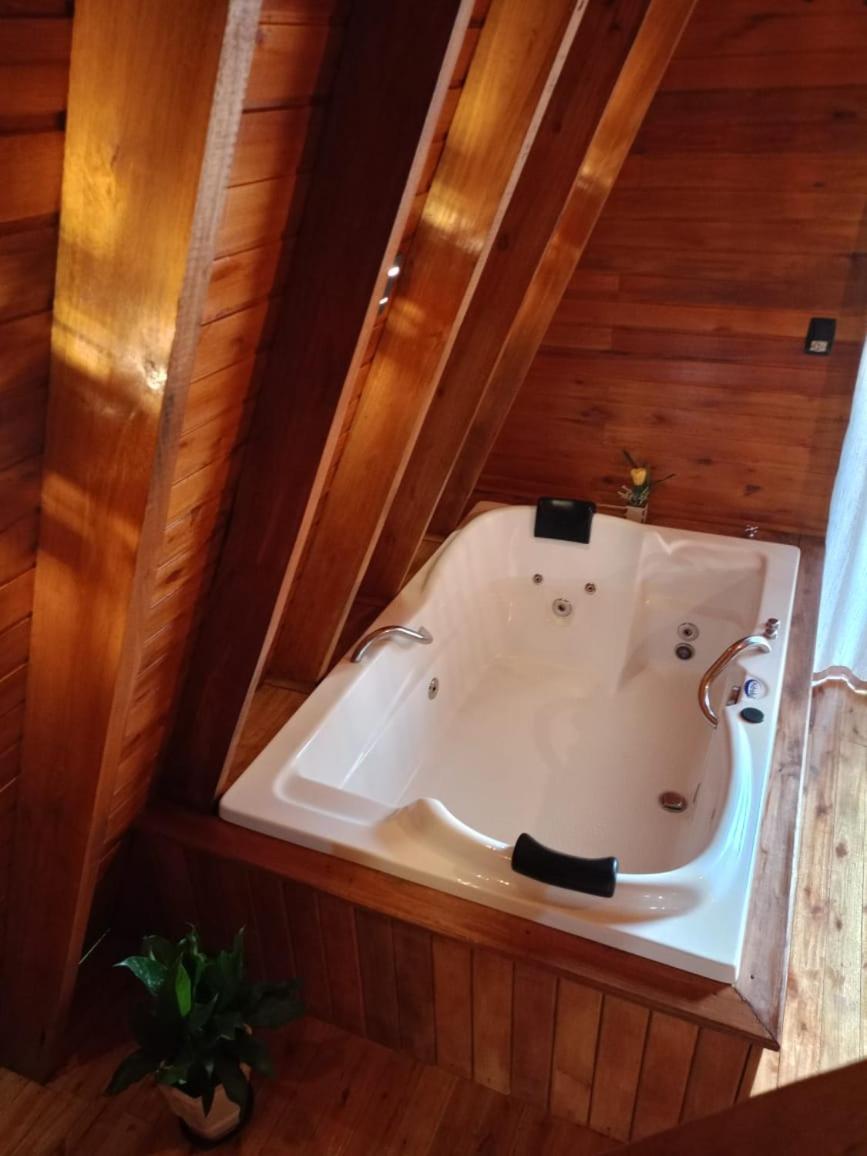 Cabanas Vida no Campo