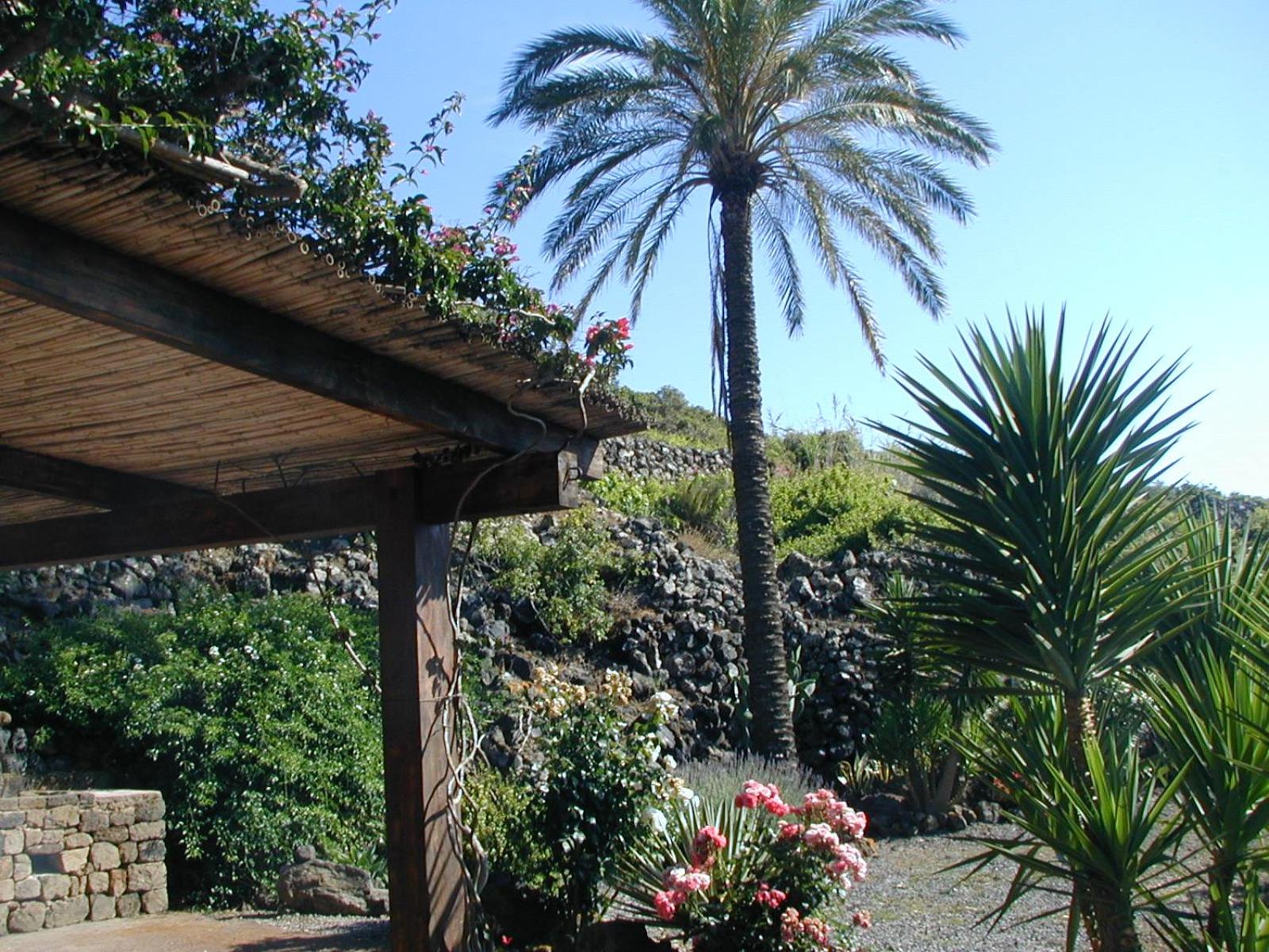 Antico Dammuso Venedisè con piscina view 4