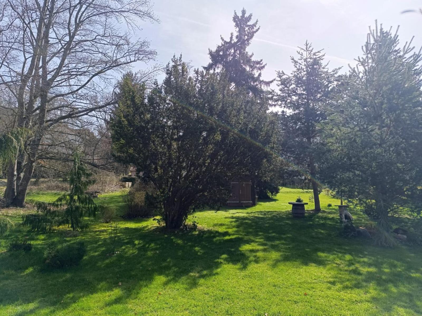 Ferienwohnung Waldblick