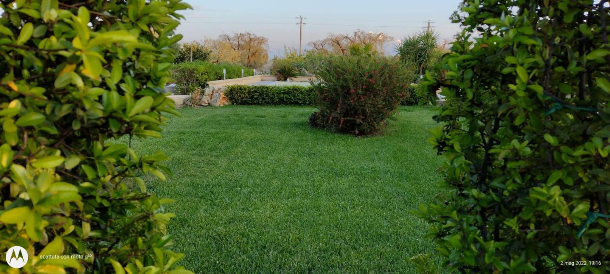 Photo 22