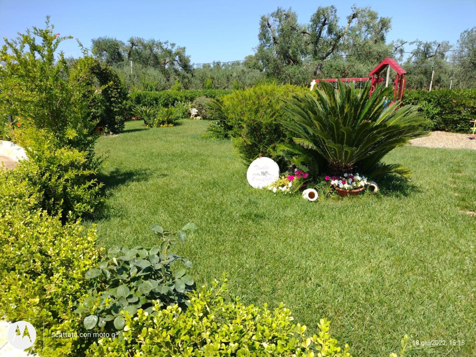 Photo 39