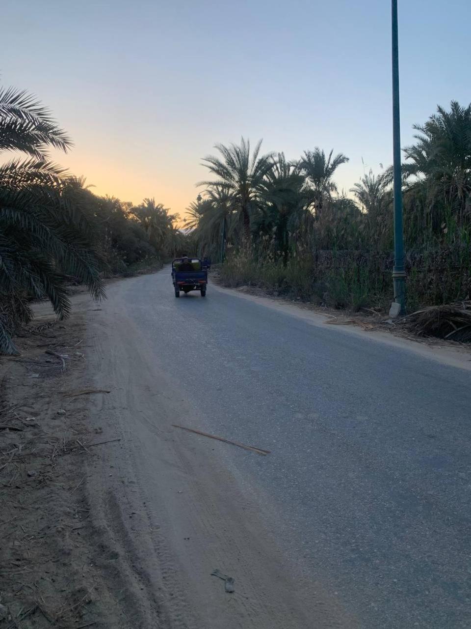 Omar Oasis
