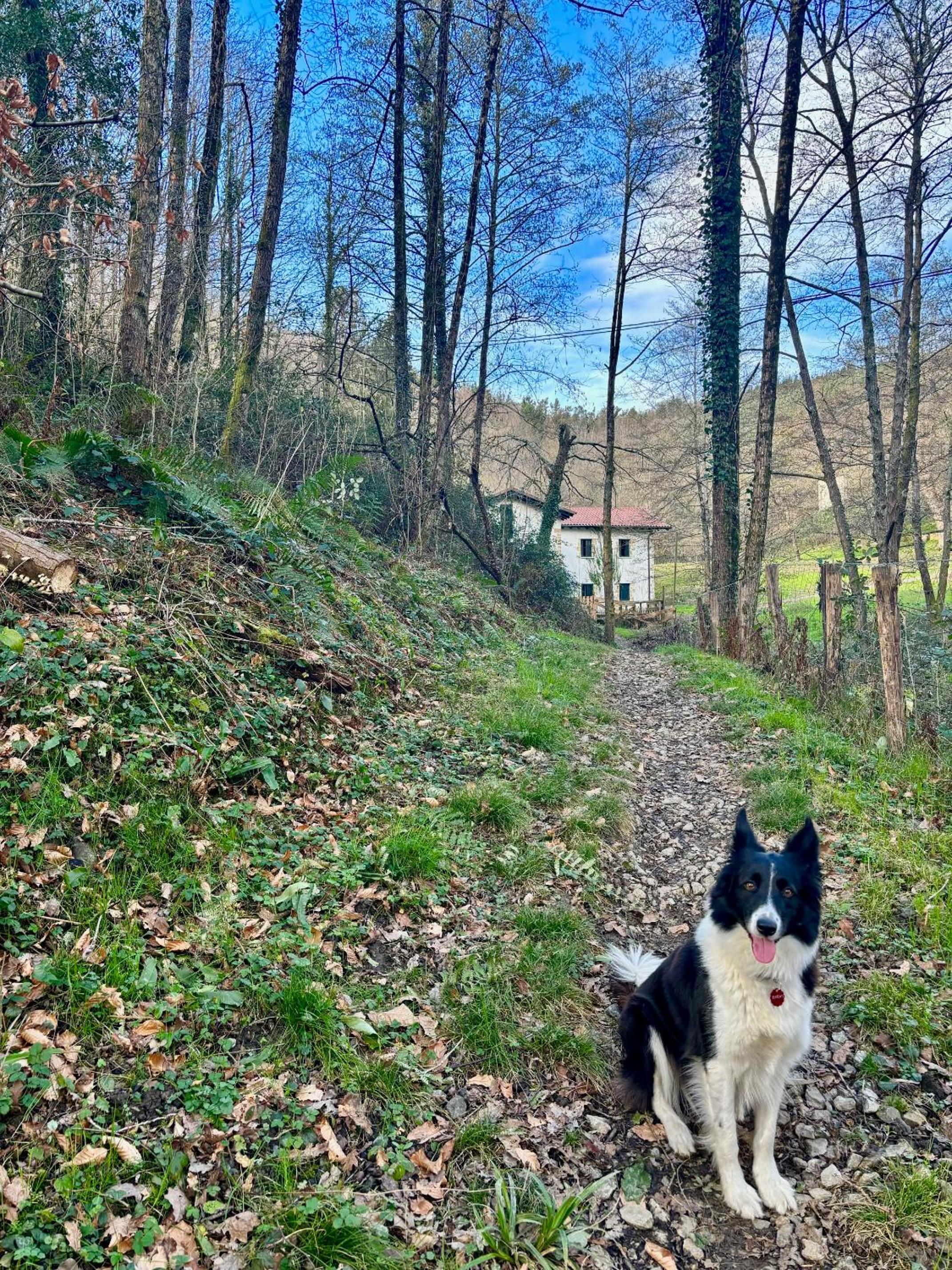 Casa Rural Passivhaus Kostoenea
