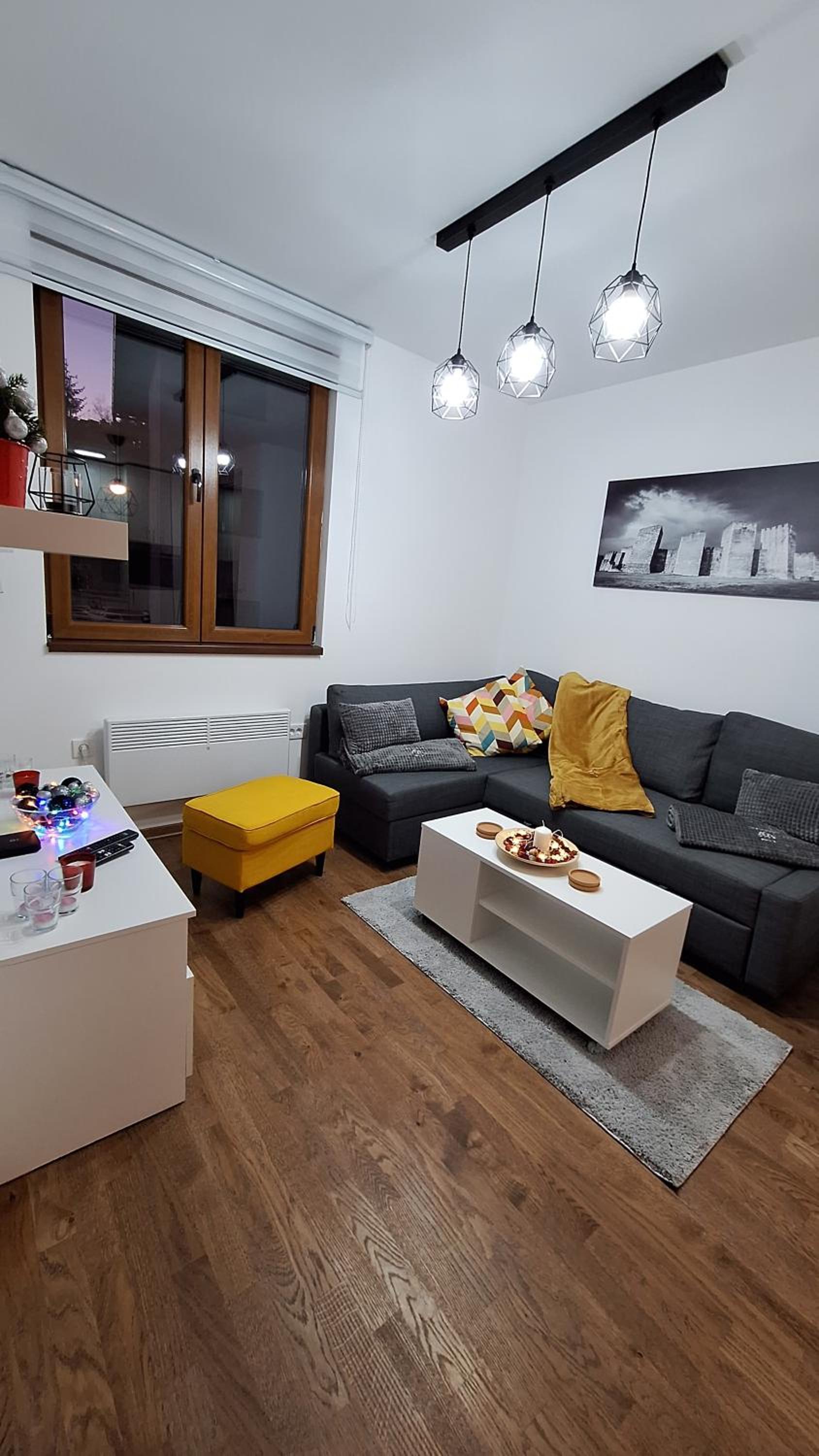 Lena Zlatibor Apartmani A13 view 3