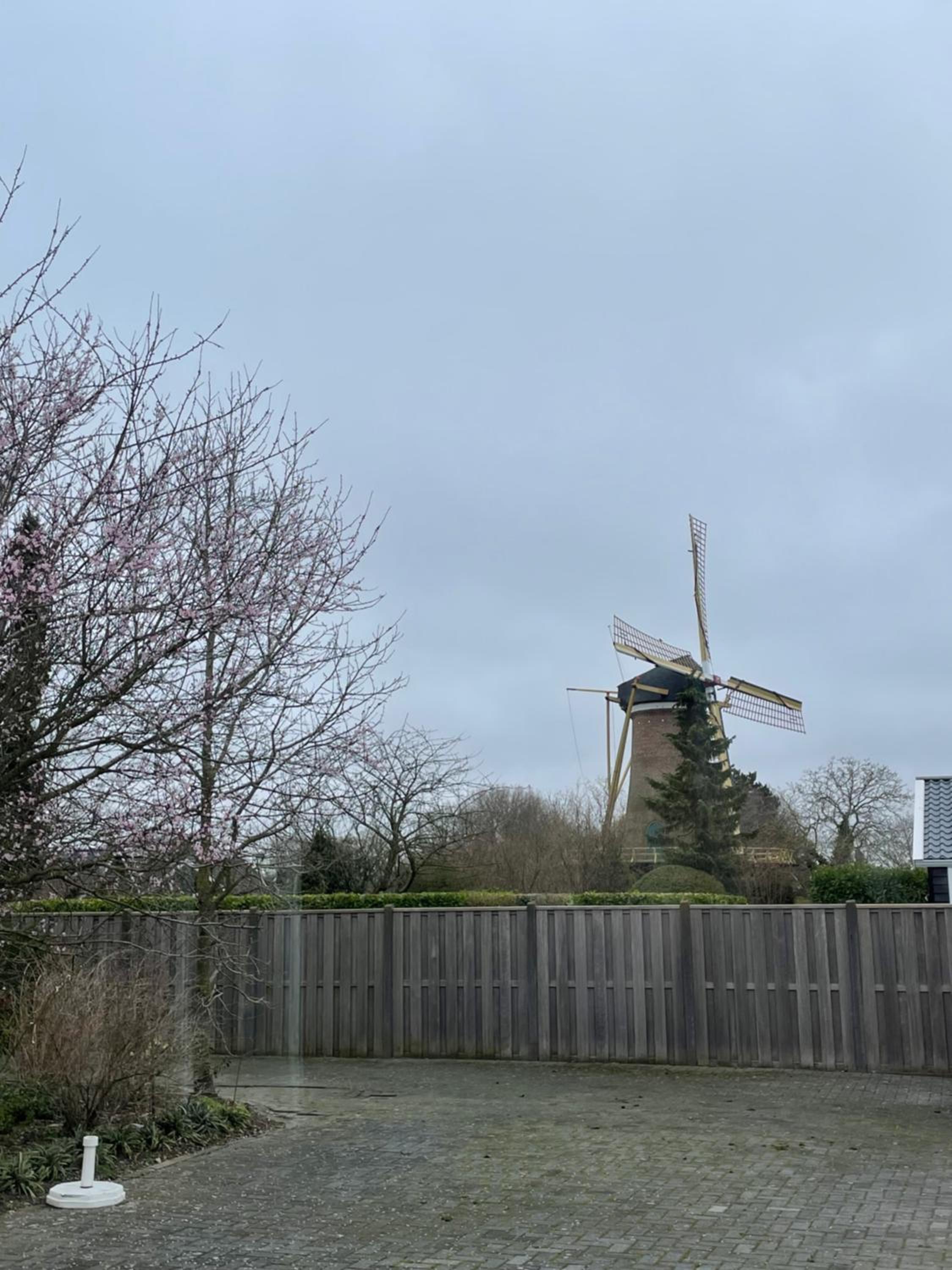 Photo 36