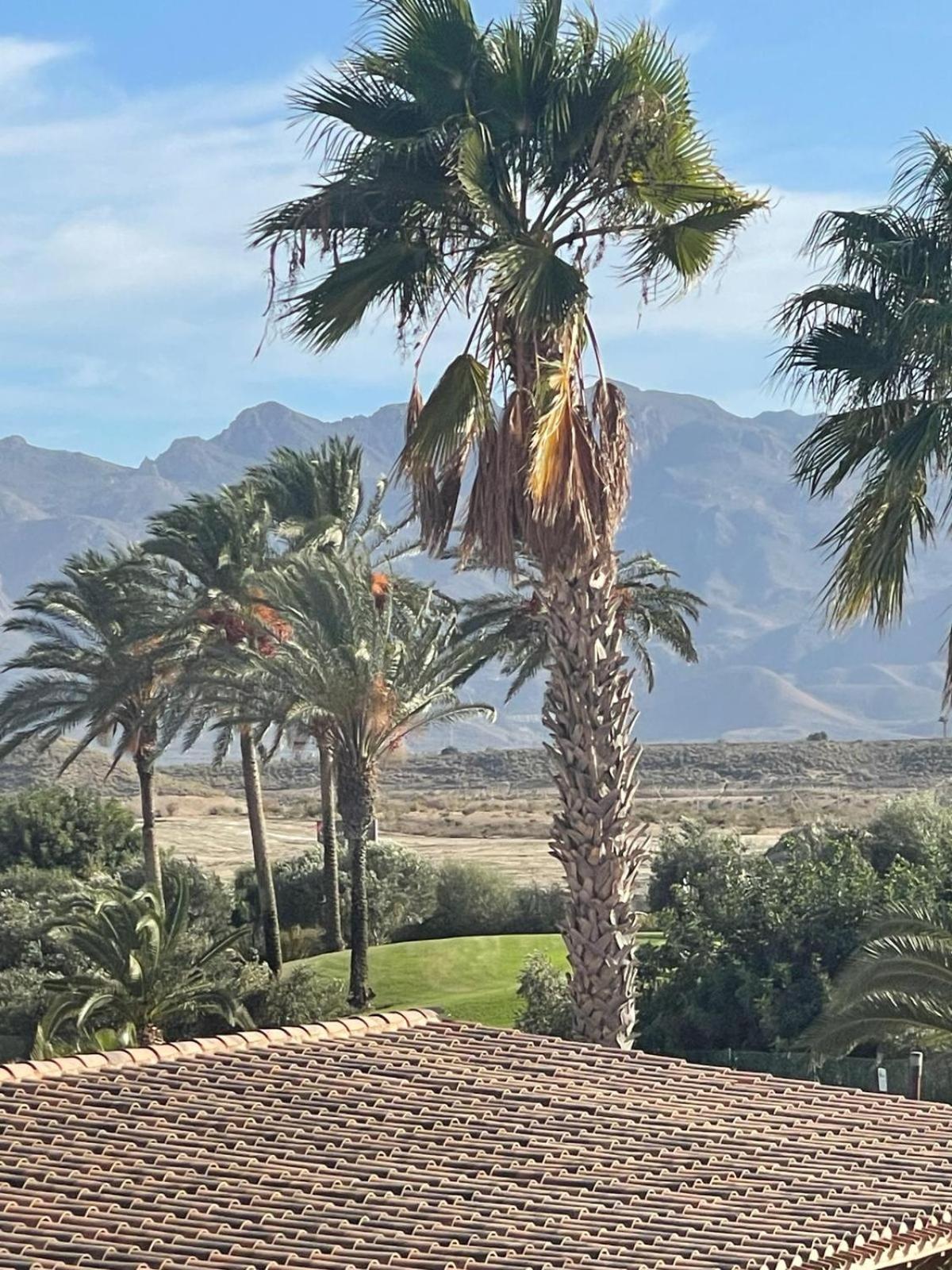Apartamento DD26 Lujo Golf, Valle del Este view 4