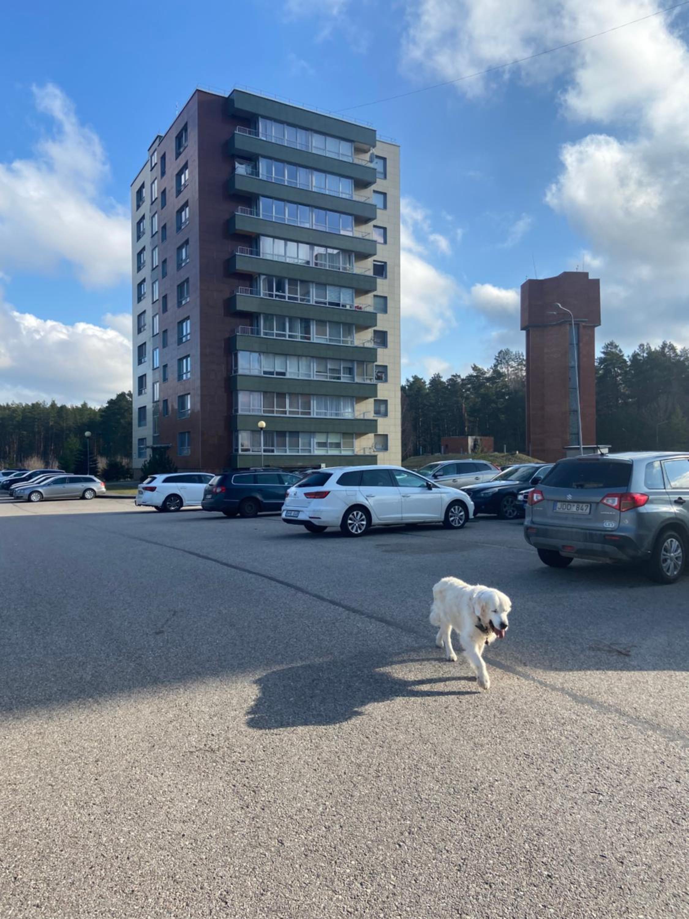 Eliana Apartments