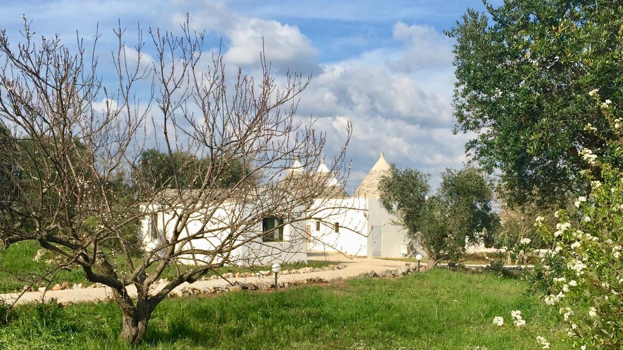 Trulli Masseria Donno Santo view 3