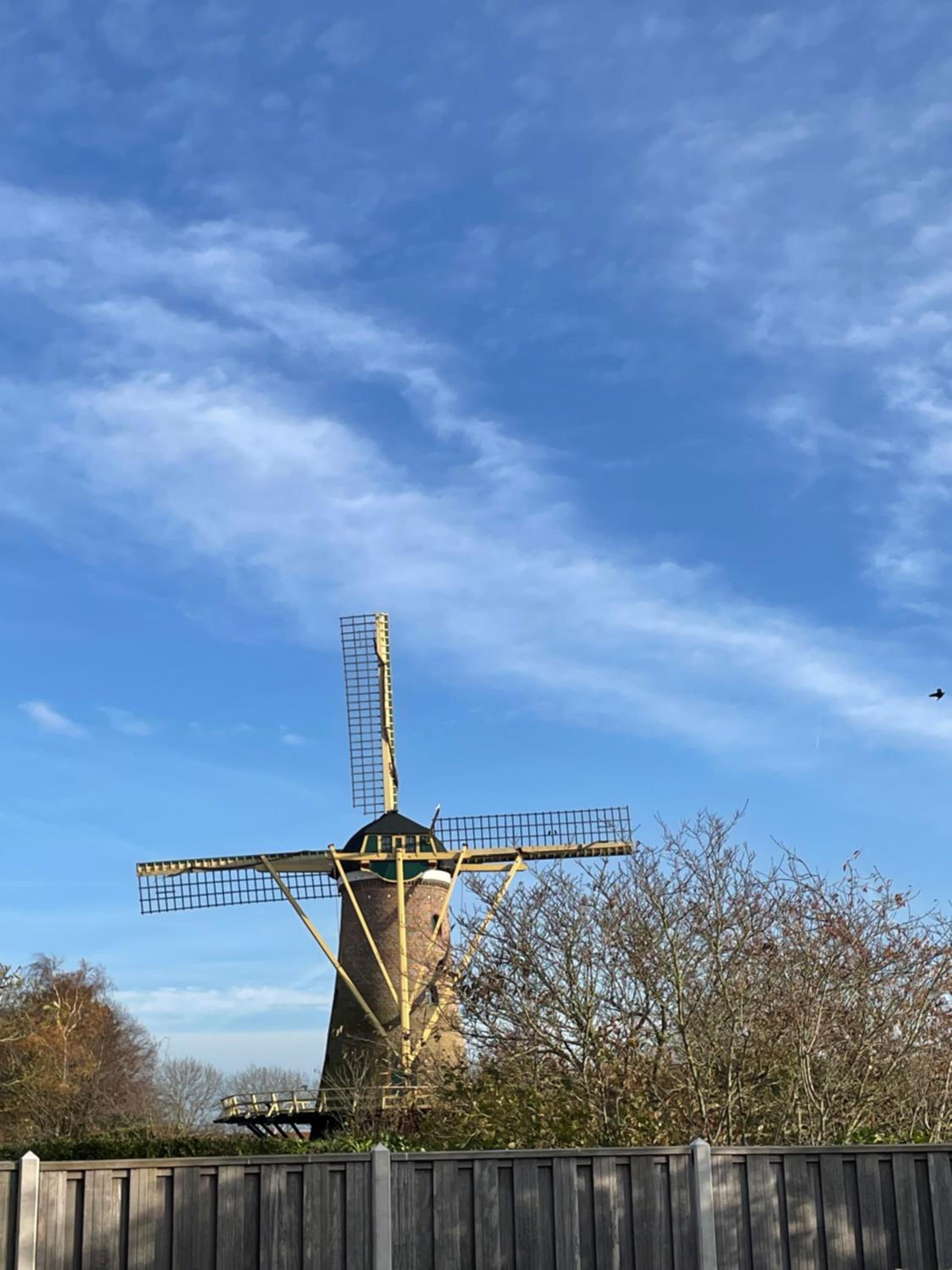 Gastenverblijf bij de Buuren view 5