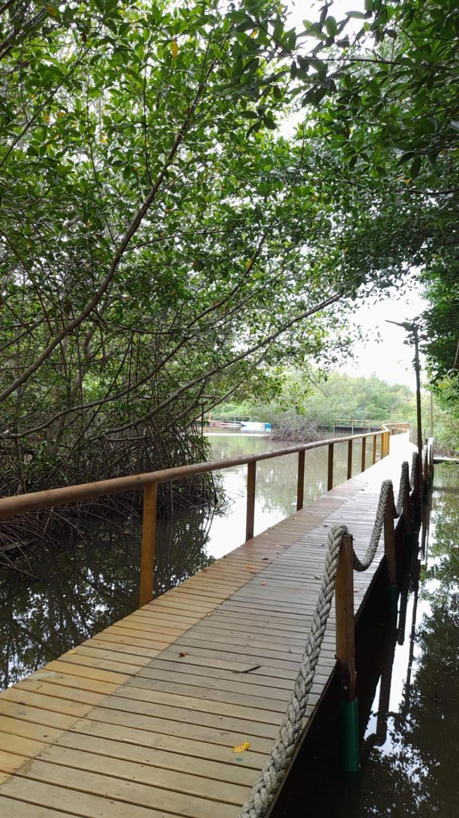 Hermosa Suite frente al mar en Tolu-Sucre