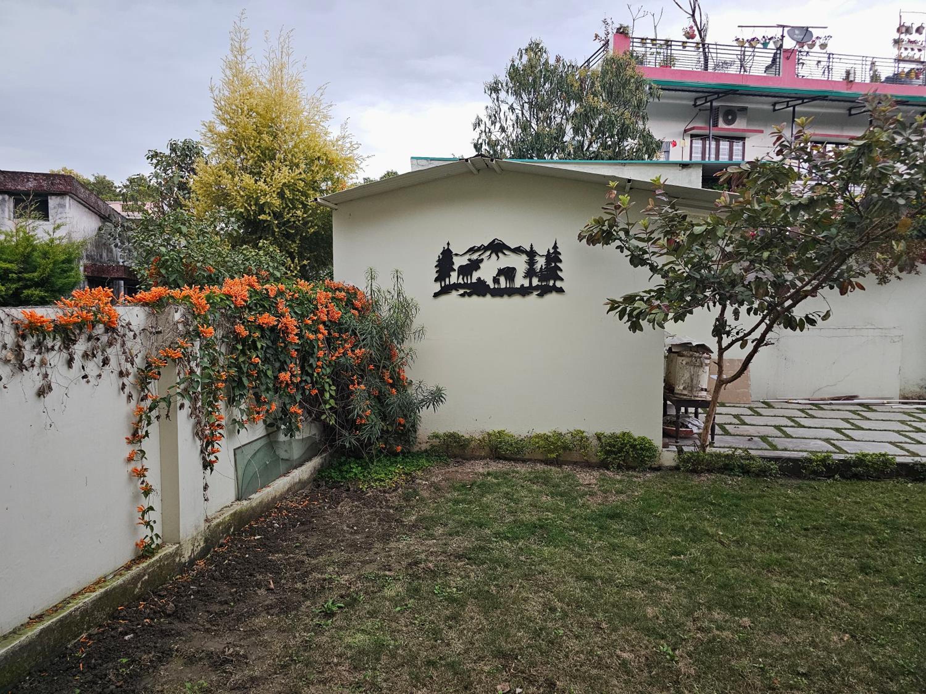 Photo 19