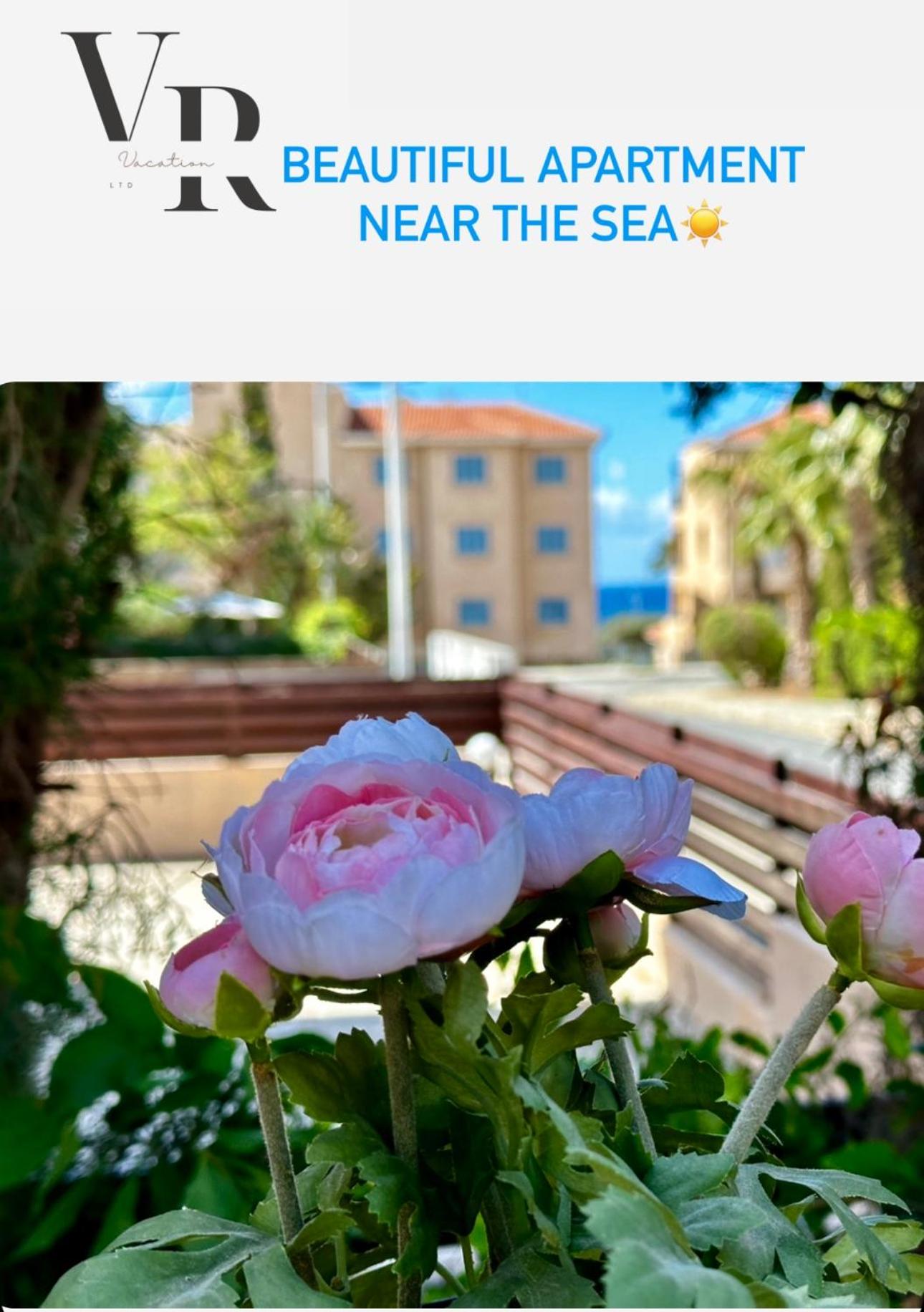 beautiful apartment near the sea and a large private garden view 2