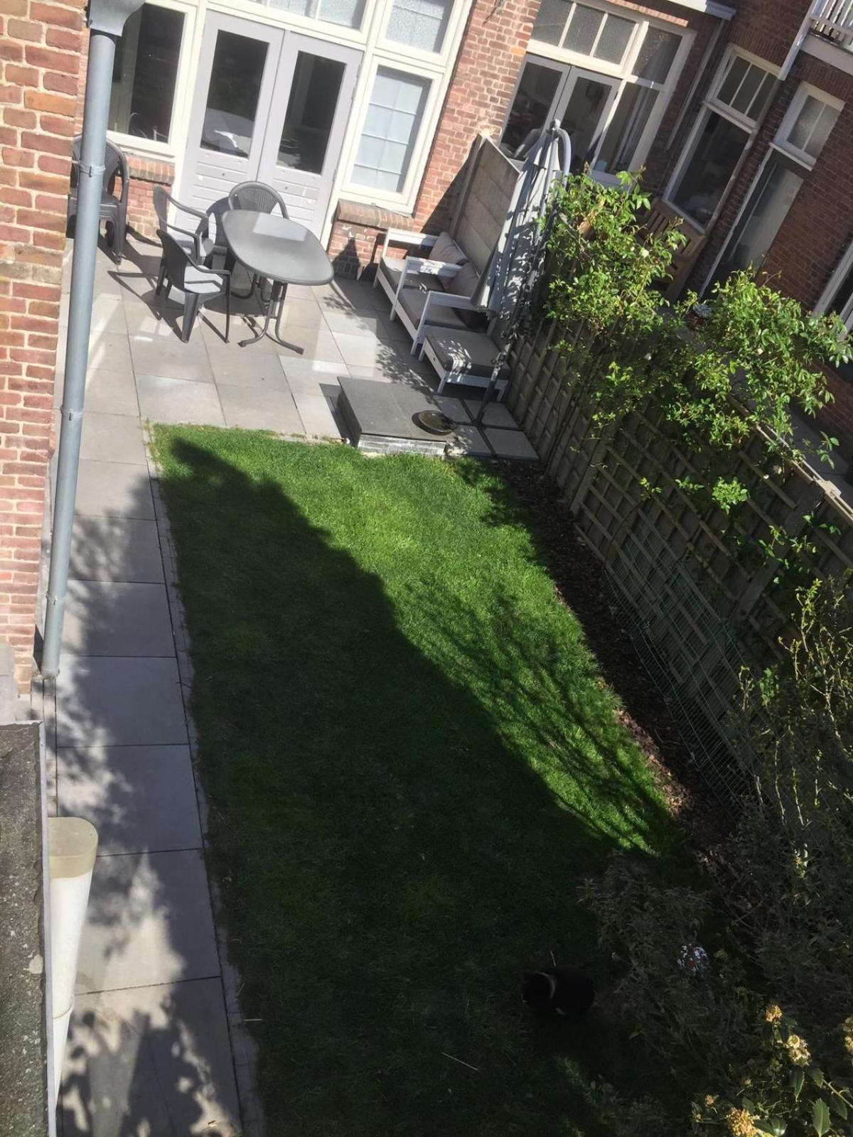 Photo 19
