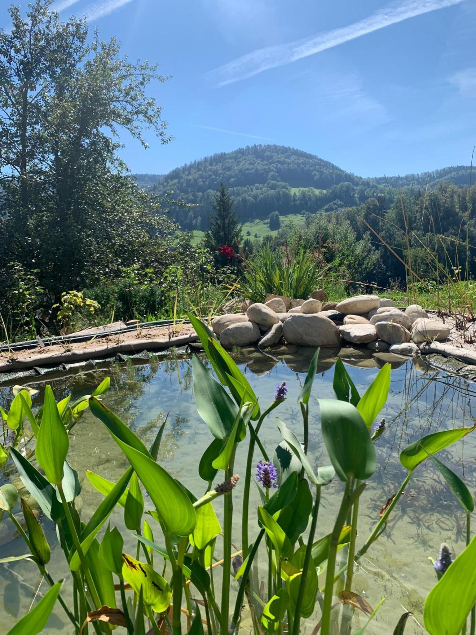 Chez Svanette B&B Villa Sonnglück