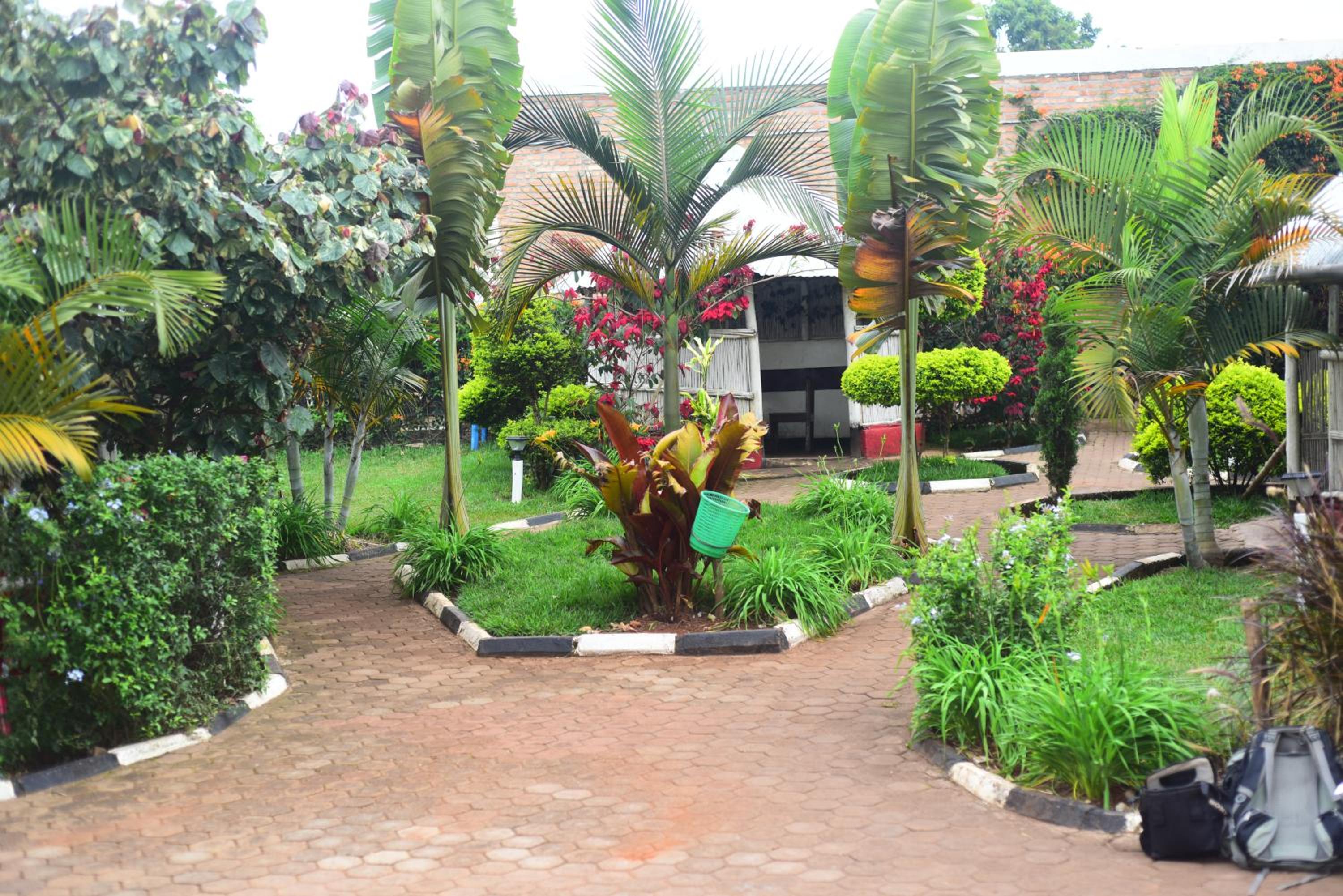Photo 41