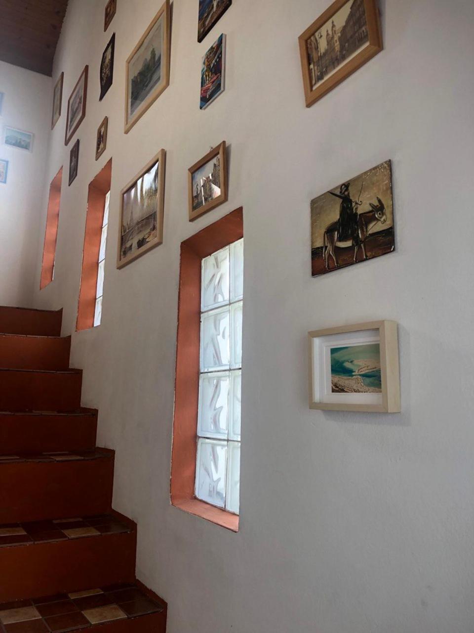 Camelia Apartment