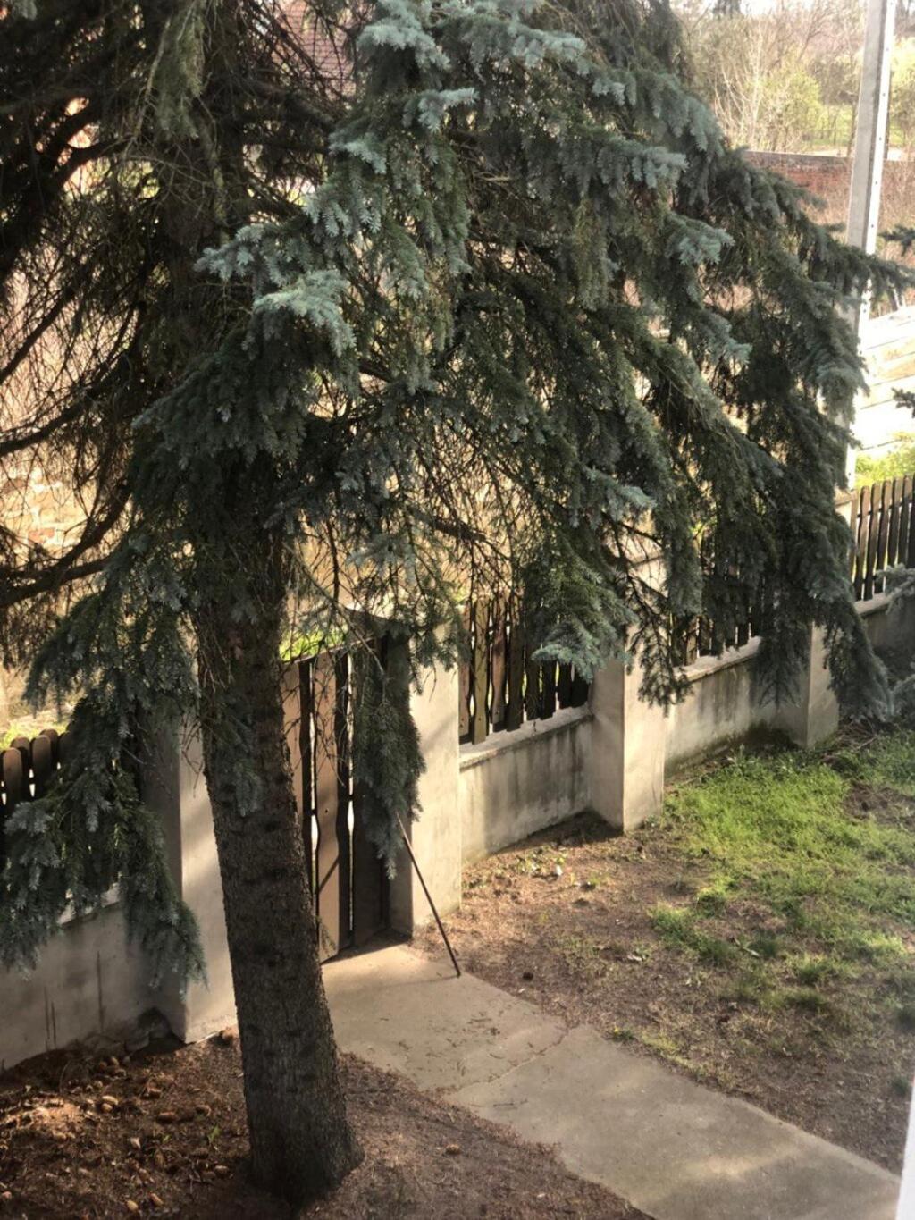 Camelia Apartment