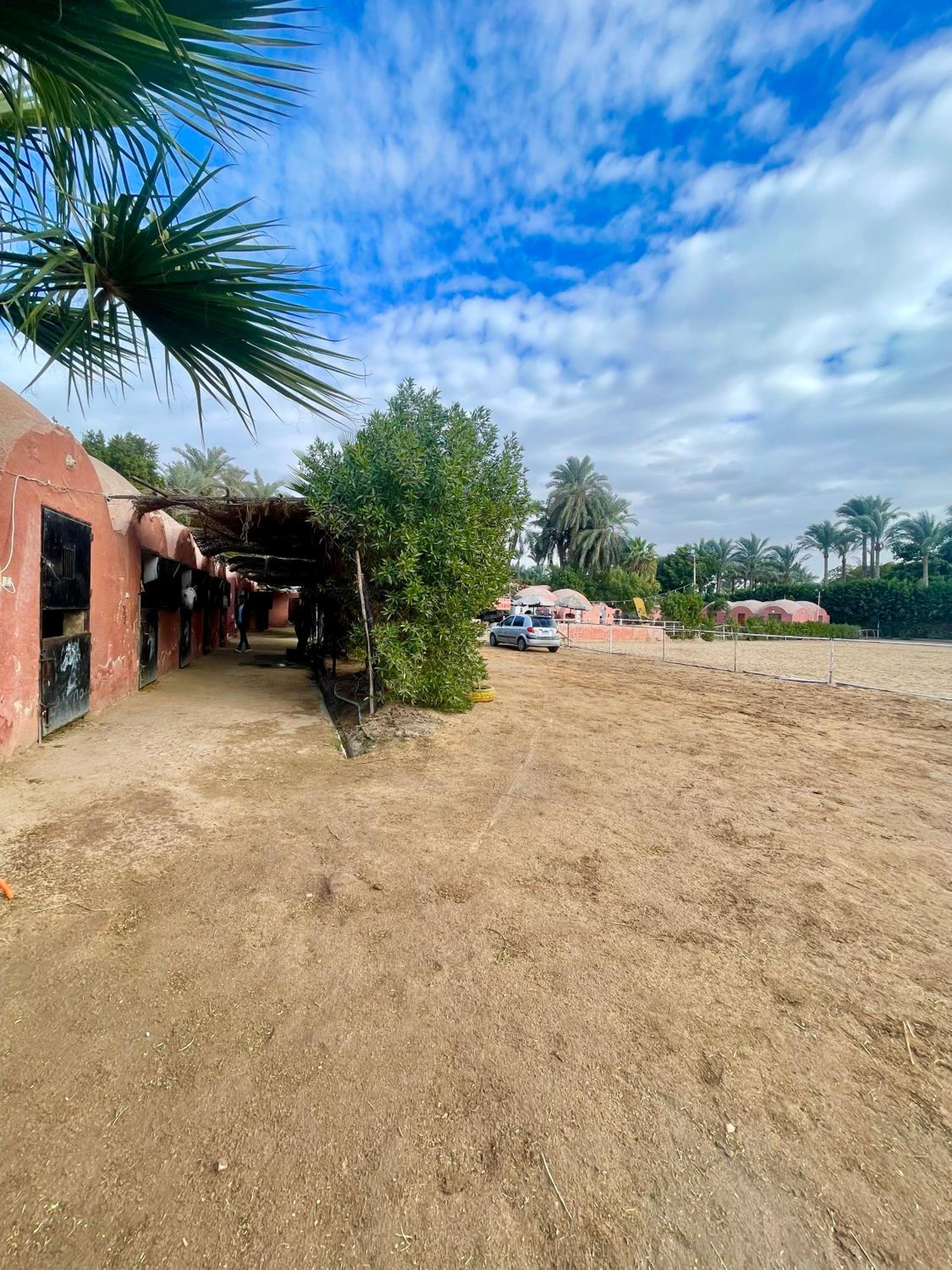 3-Cozy Bedroom Haven l Free Horseback Tours