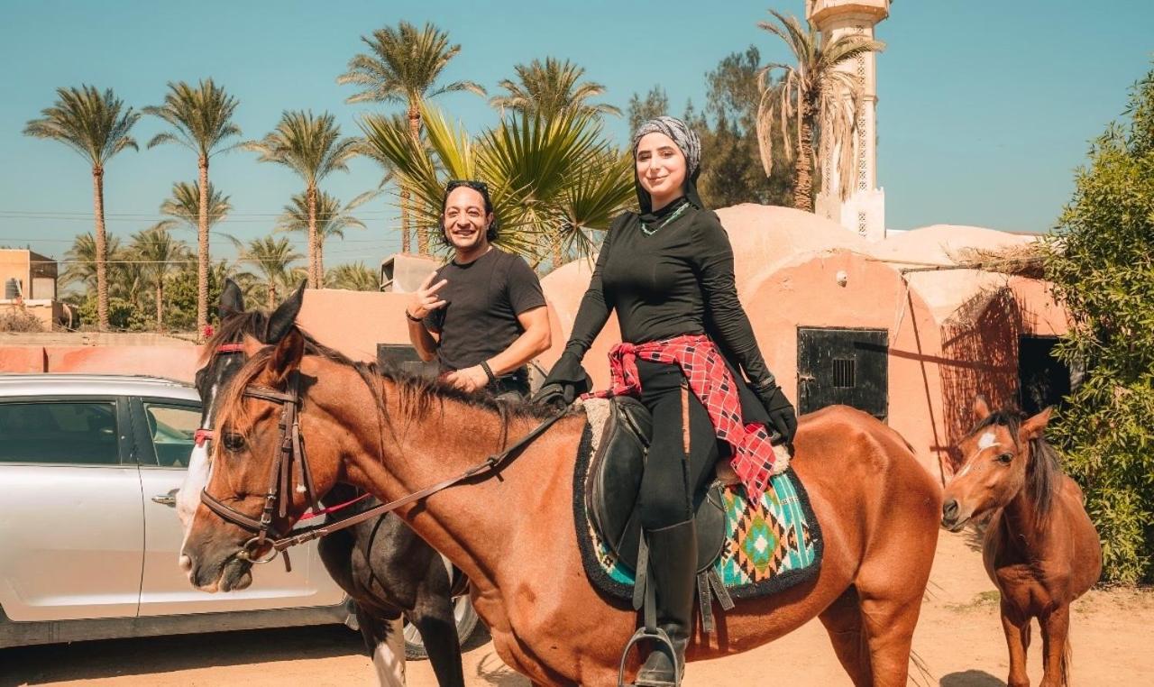 3-Cozy Bedroom Haven l Free Horseback Tours