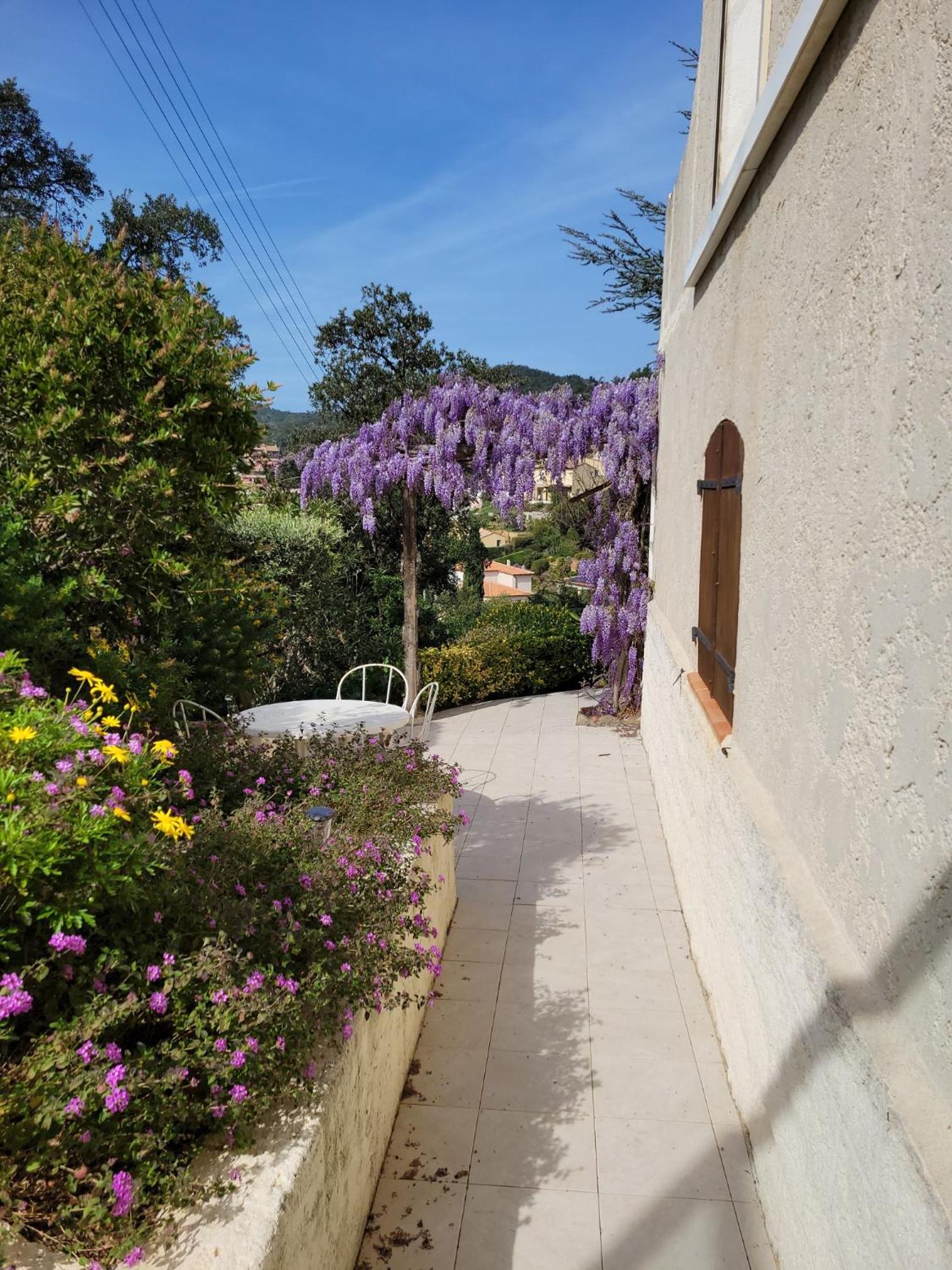 APPARTEMENTS DANS VILLA EN REZ DE JARDIN, photo 4