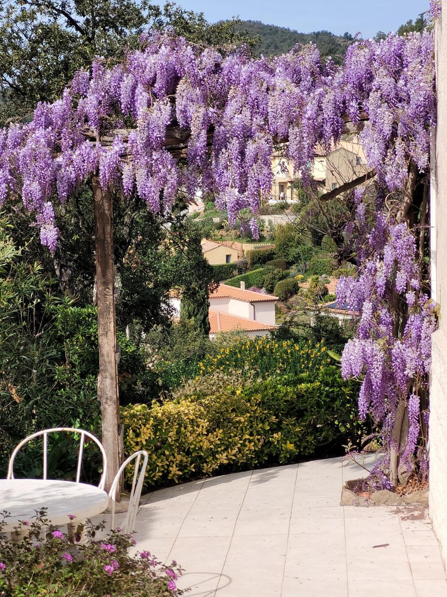 APPARTEMENTS DANS VILLA EN REZ DE JARDIN, photo 5