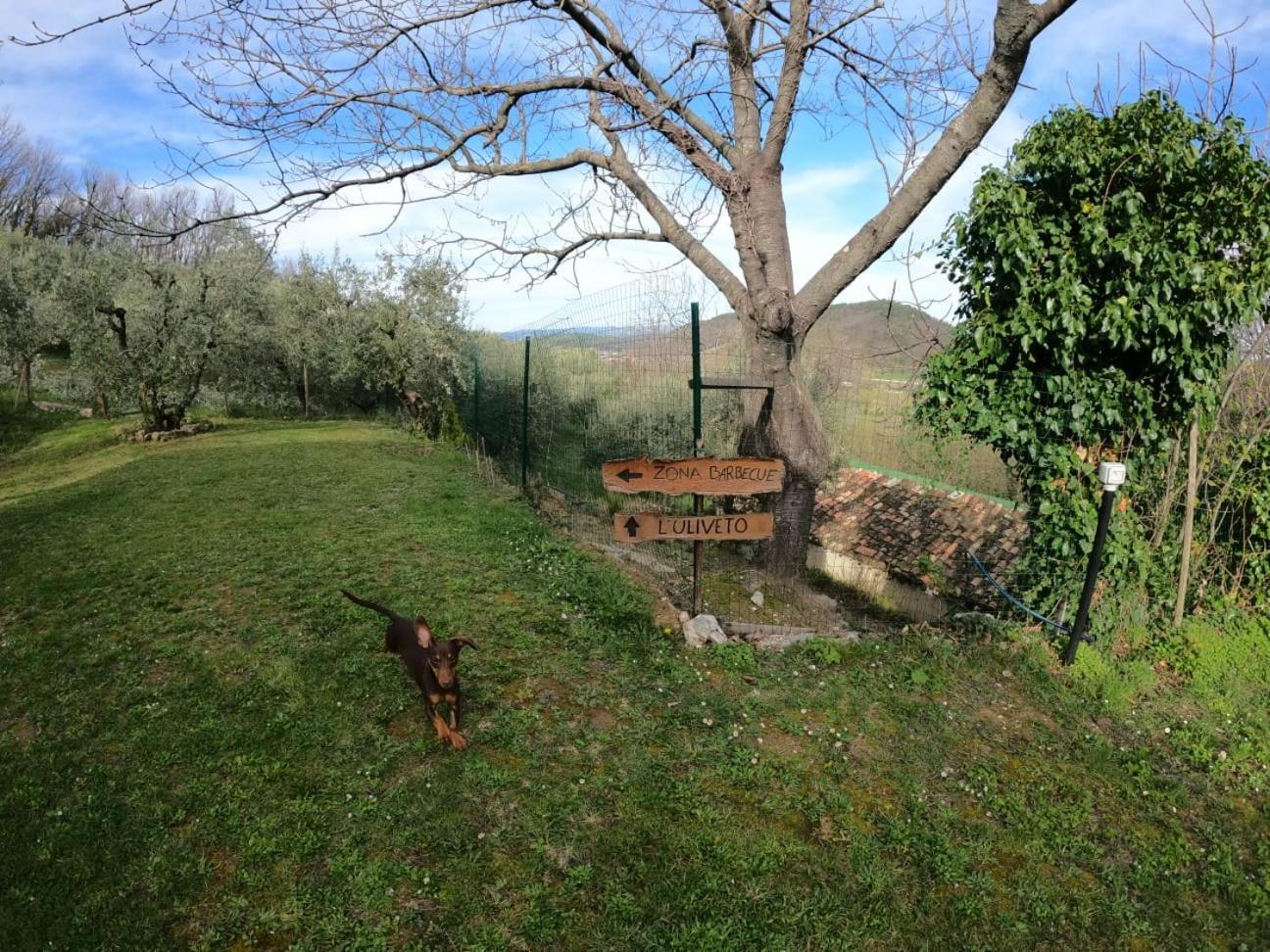 Casa degli Ulivi