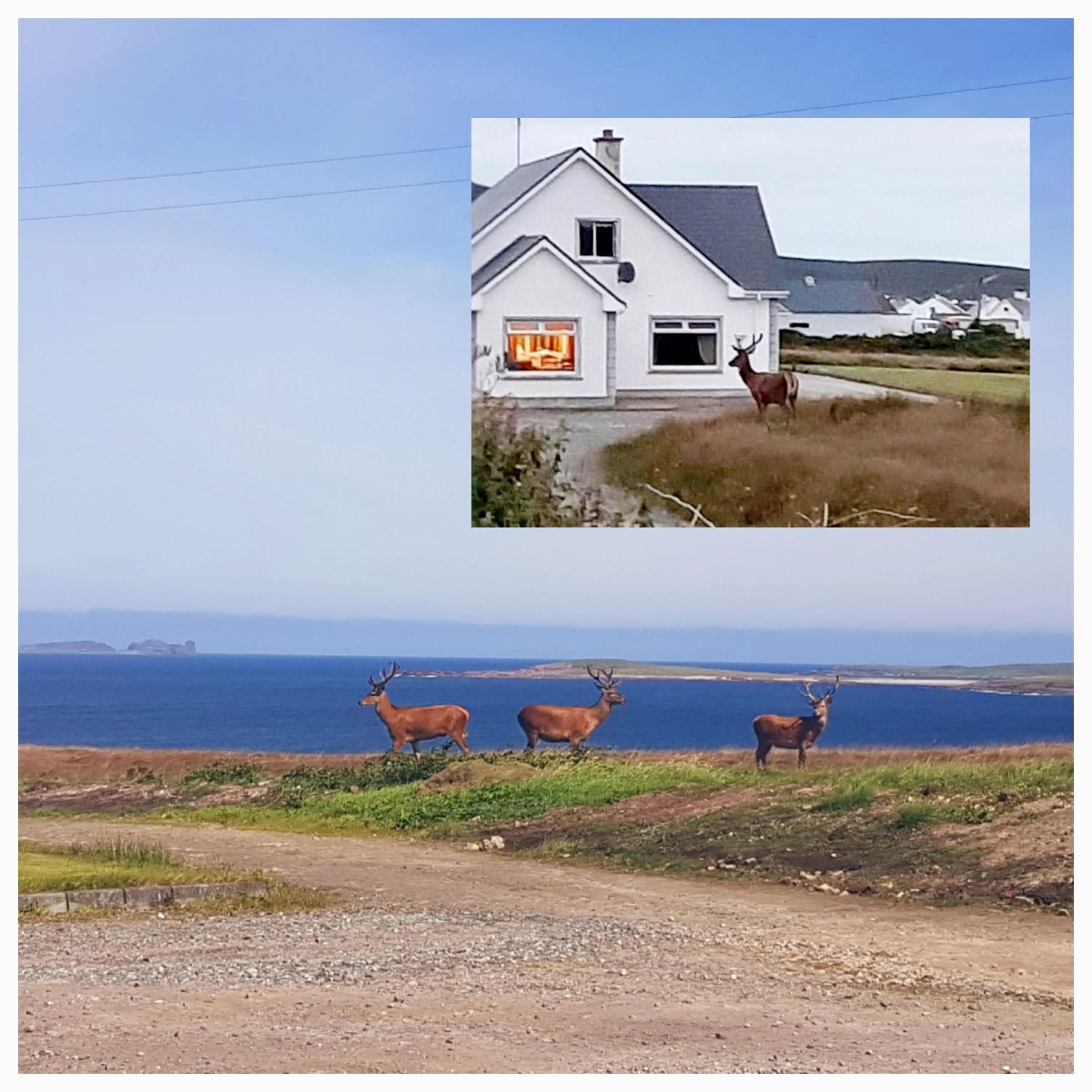 Letterkenny Vacations - Radharc Na Mara - Property Image 8