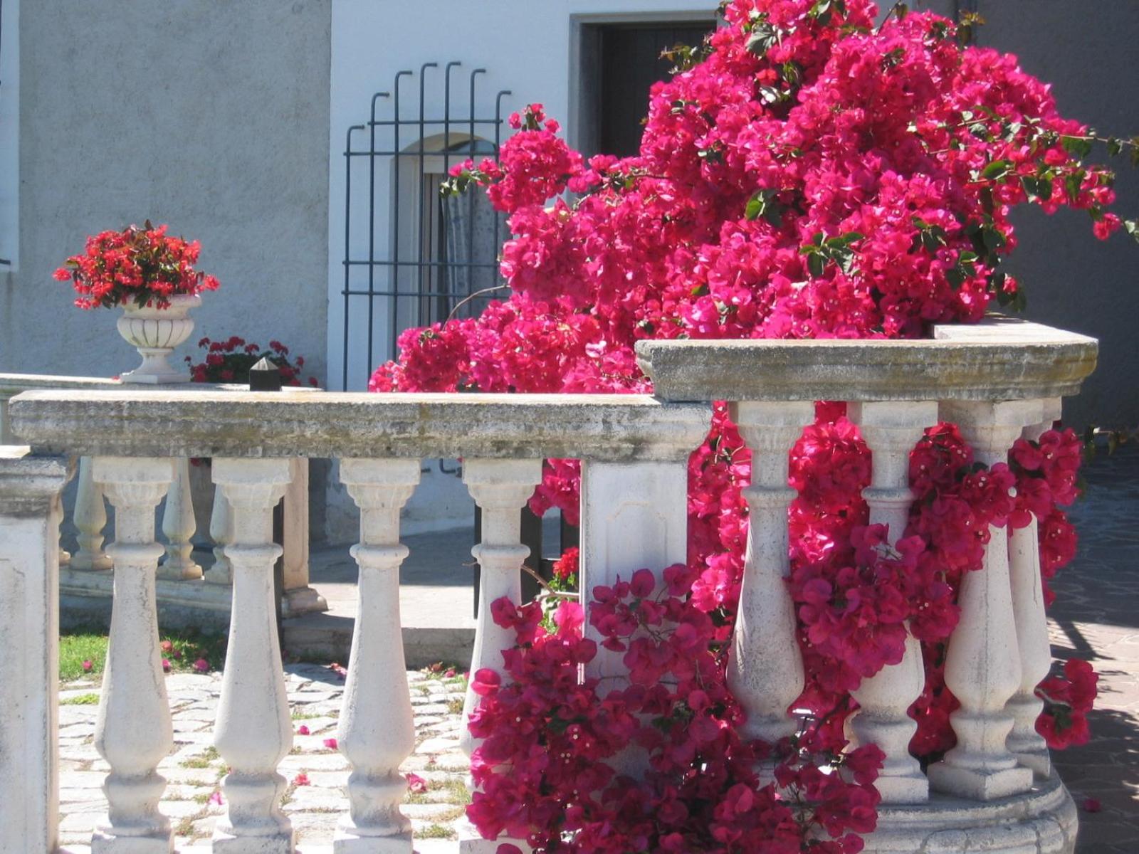Cà dei Conti, fotografía 3
