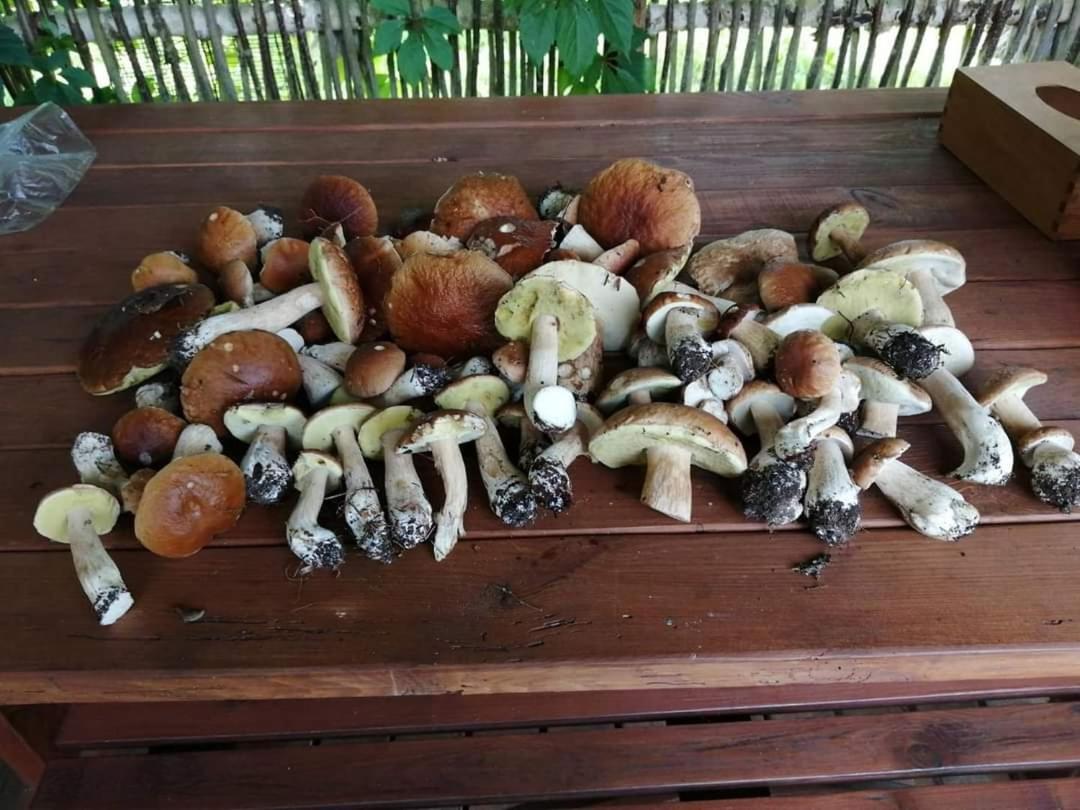 Pundeliškių sodyba