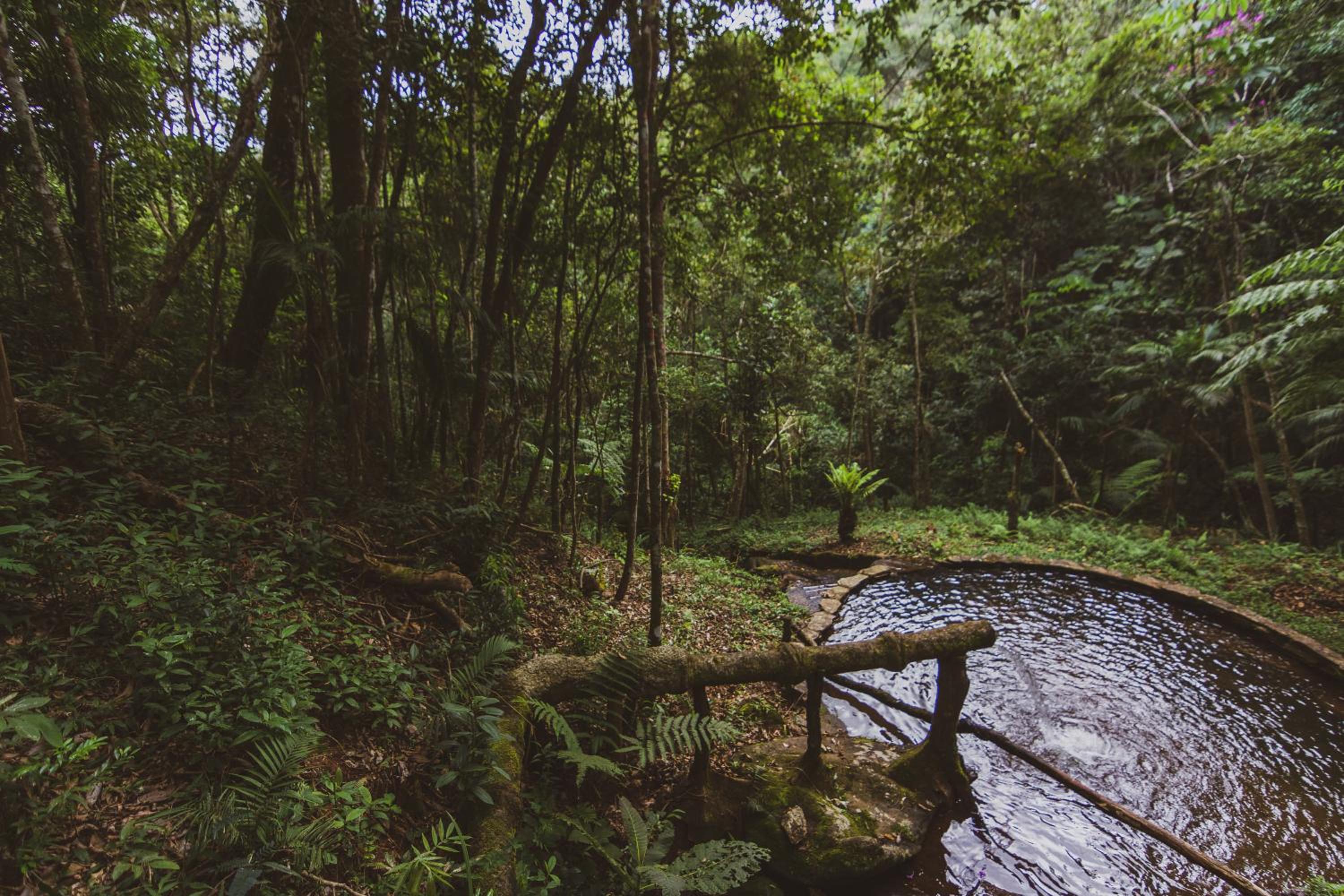 Pousada Alto dos Manacás Chalés e Restaurante - A 500mts da portaria do parque e 2,5km da Vila