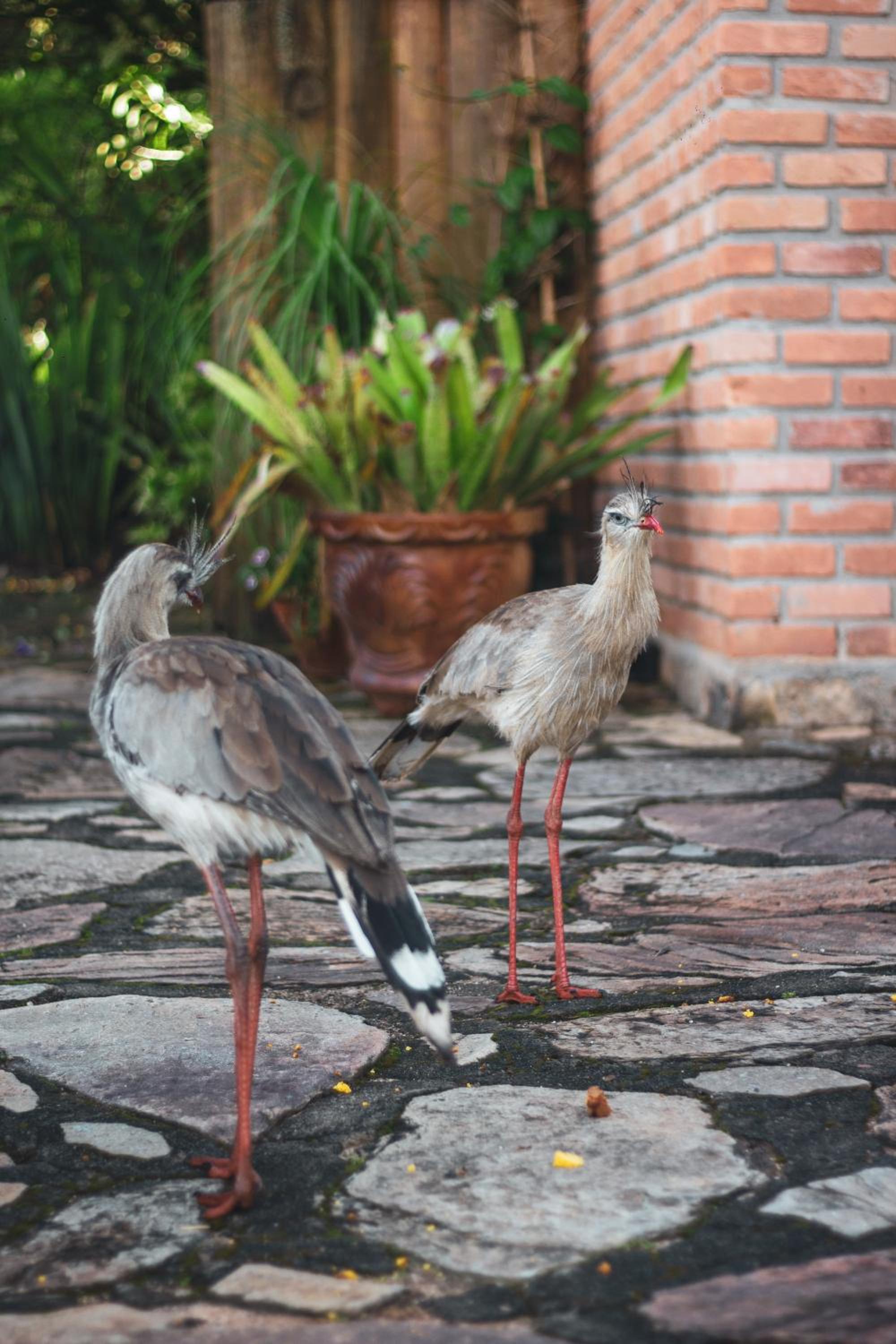 Pousada Alto dos Manacás Chalés e Restaurante - A 500mts da portaria do parque e 2,5km da Vila