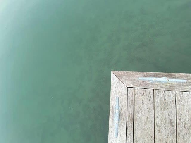 Photo 51