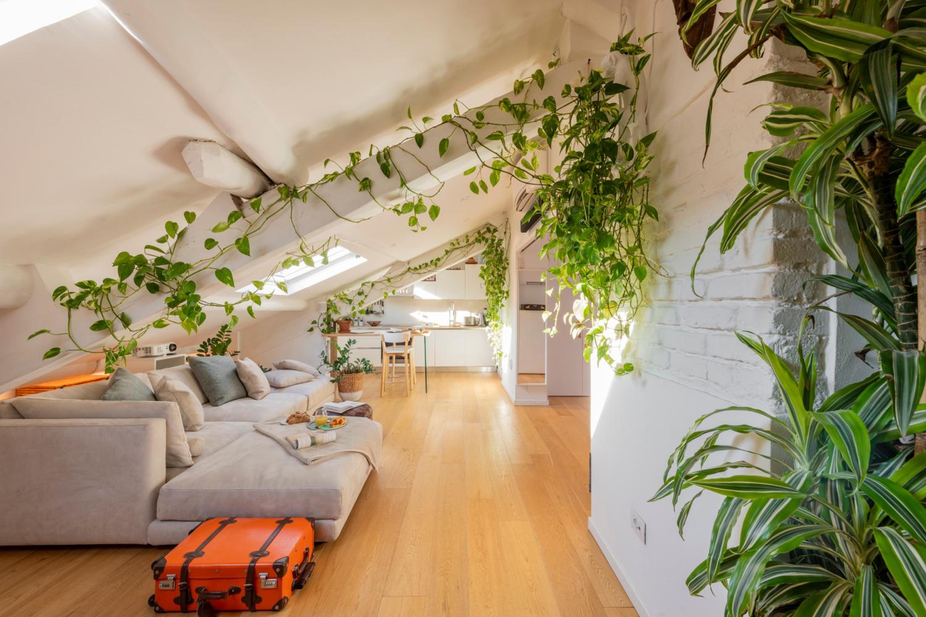 Bright mini studio in the heart of Milan