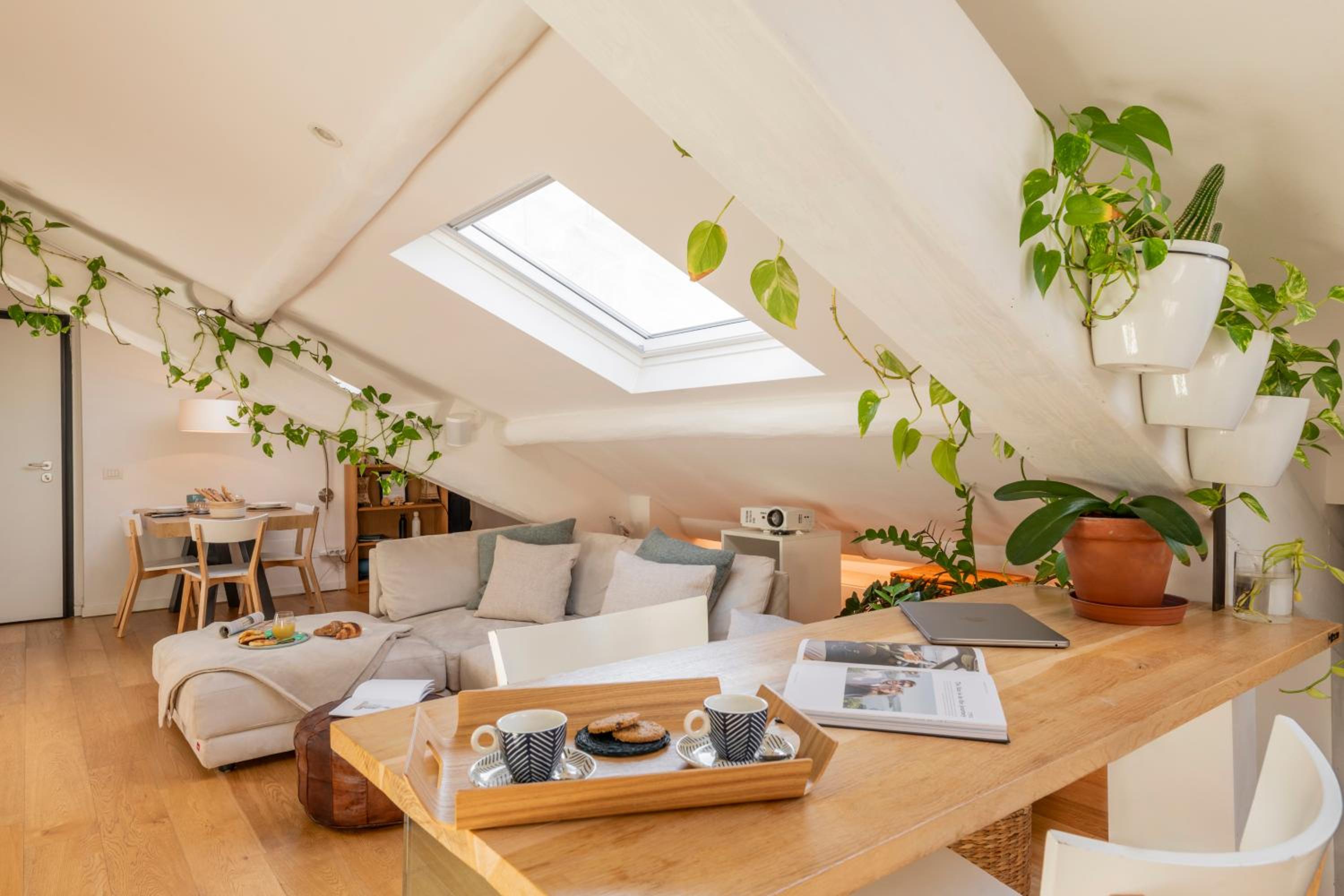 Bright mini studio in the heart of Milan