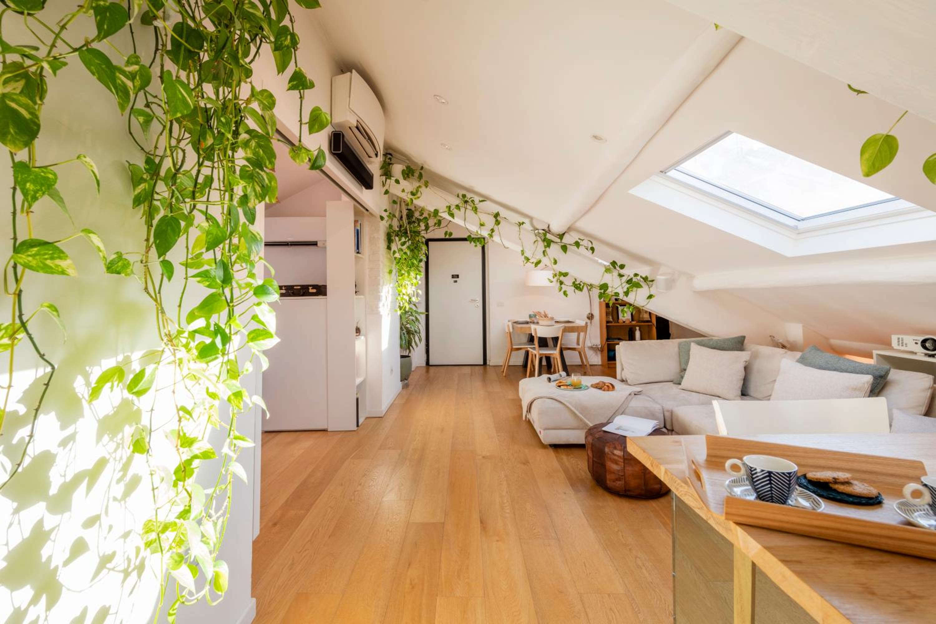Bright mini studio in the heart of Milan